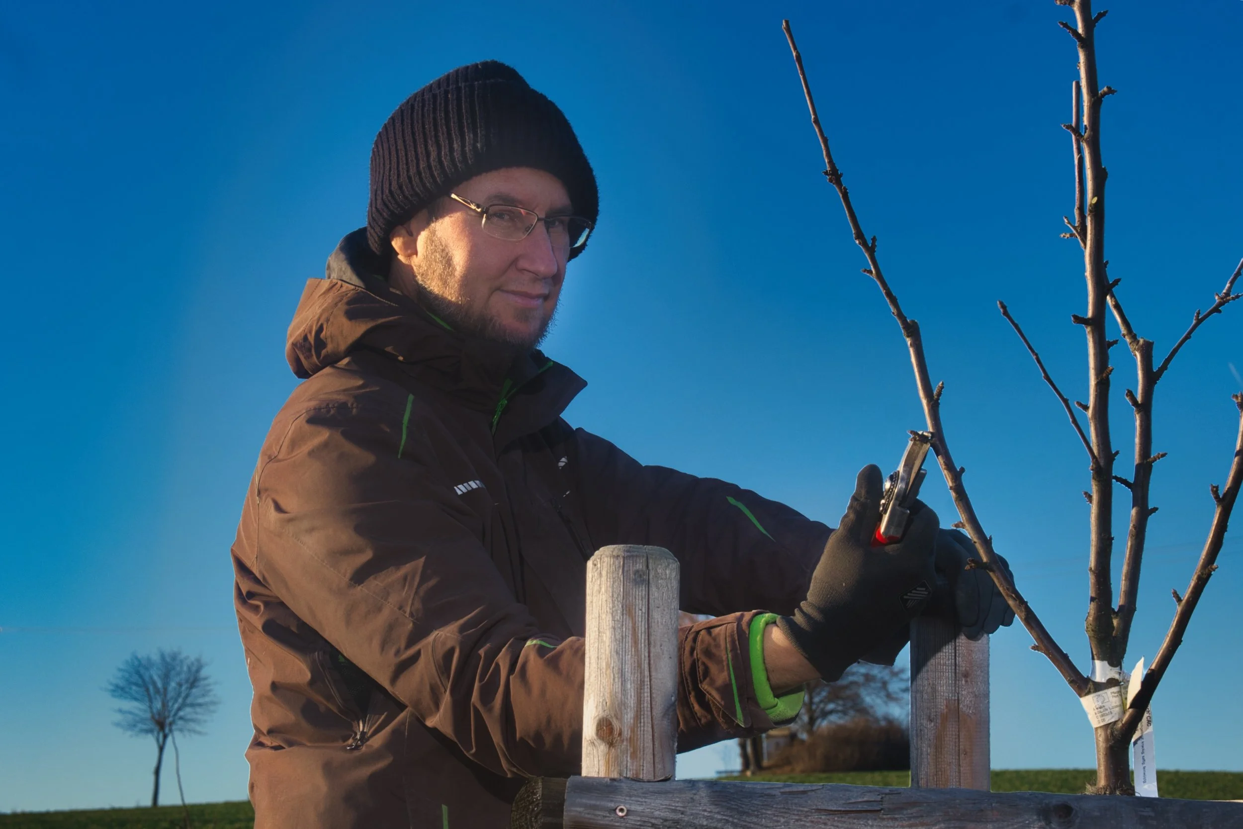Mann in dunkler Jacke, Mütze und Brille schneidet bei Sonnenuntergang einen Baum.