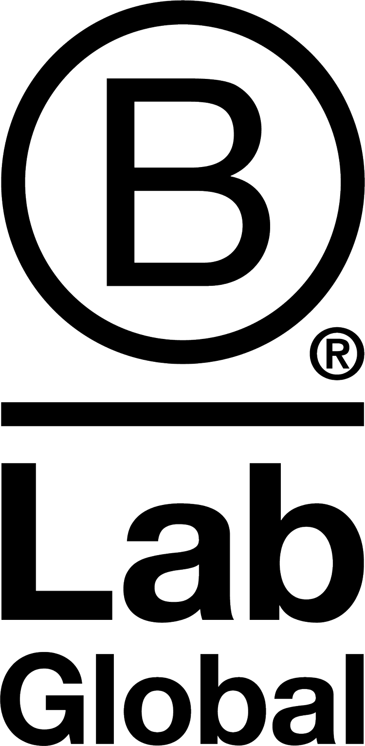Introduction — B Corp Brand Book