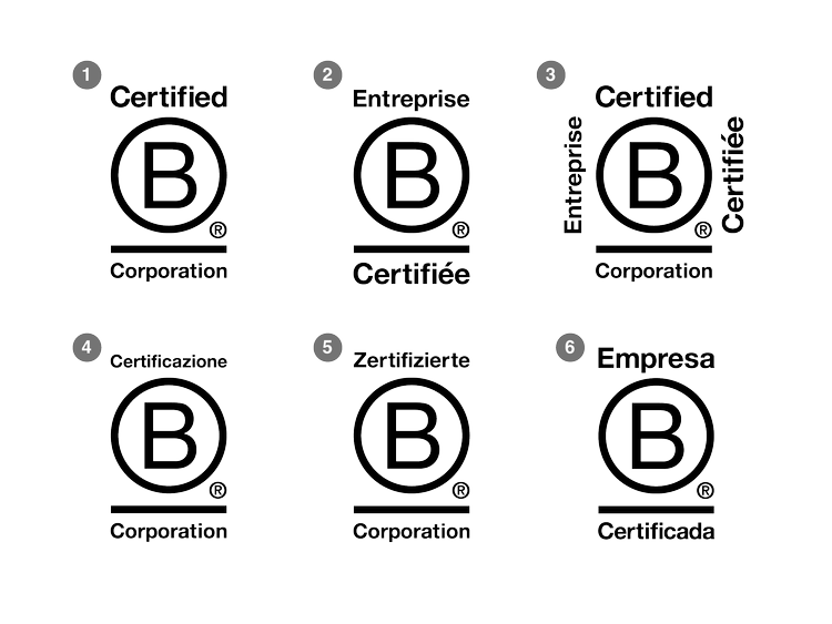 Visual Identity — B Corp Brand Book