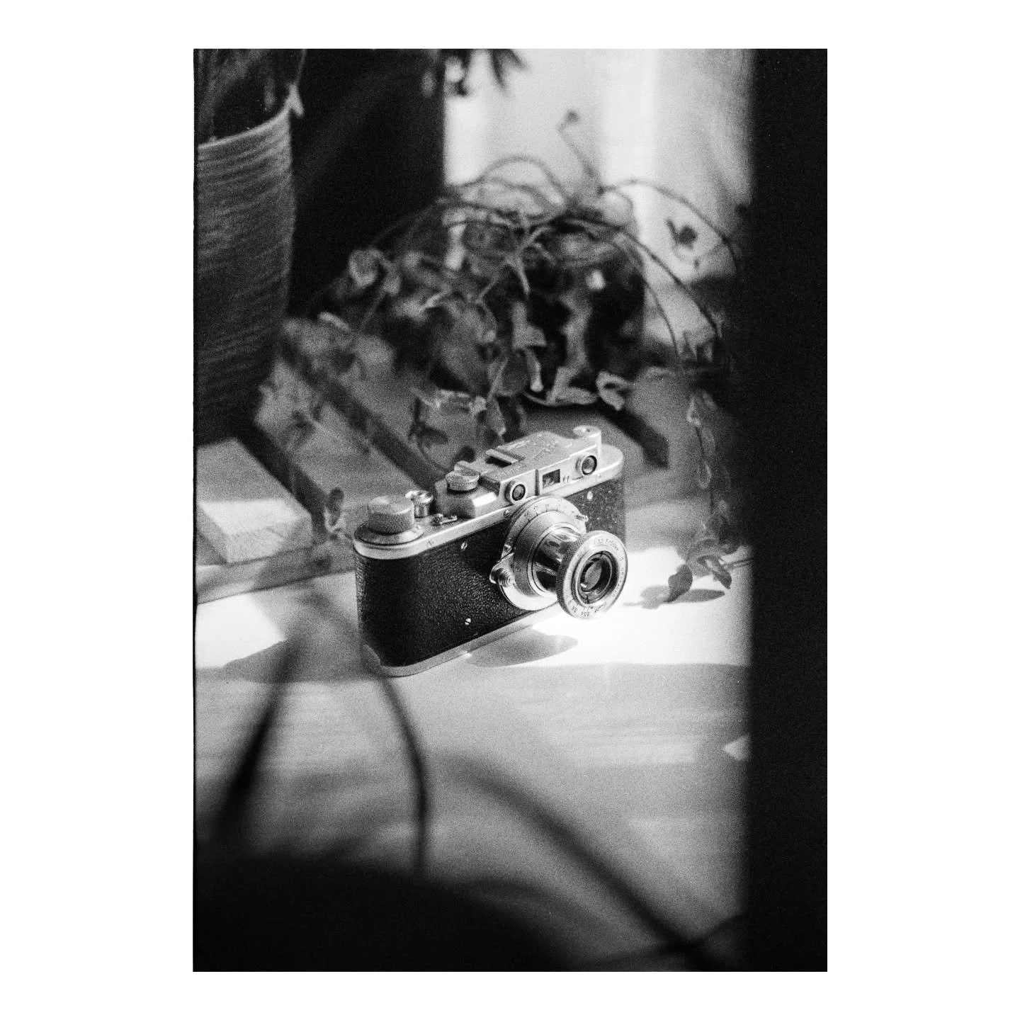 beautiful tool.
|
#photography #photo #blackandwhite #analogphotography #vintagecamera #zorki #fed #leica #olympusom1 #om1