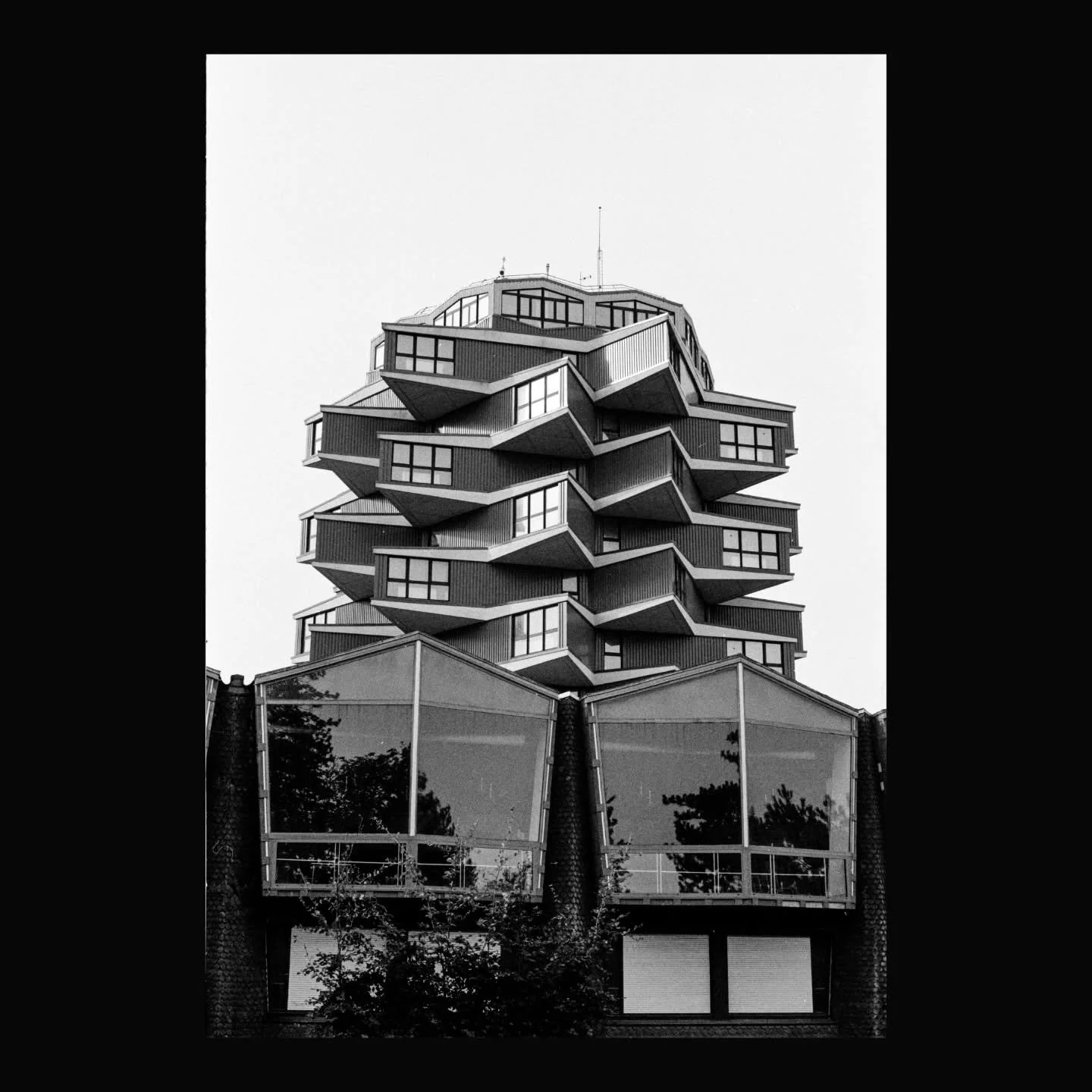 pine cone.
|
#photography #photo #architecture #brutalism #letouquet