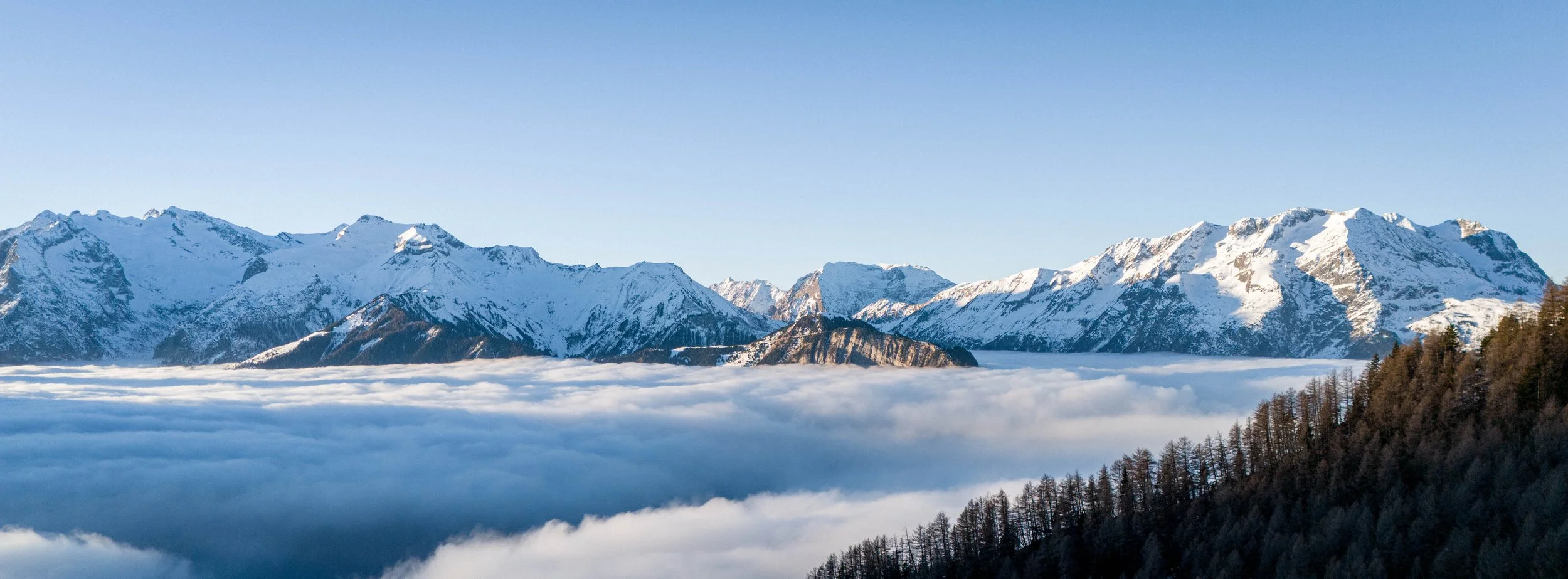 Montagne enneigée au-dessus d'une mer de nuages avec des arbres au premier plan.