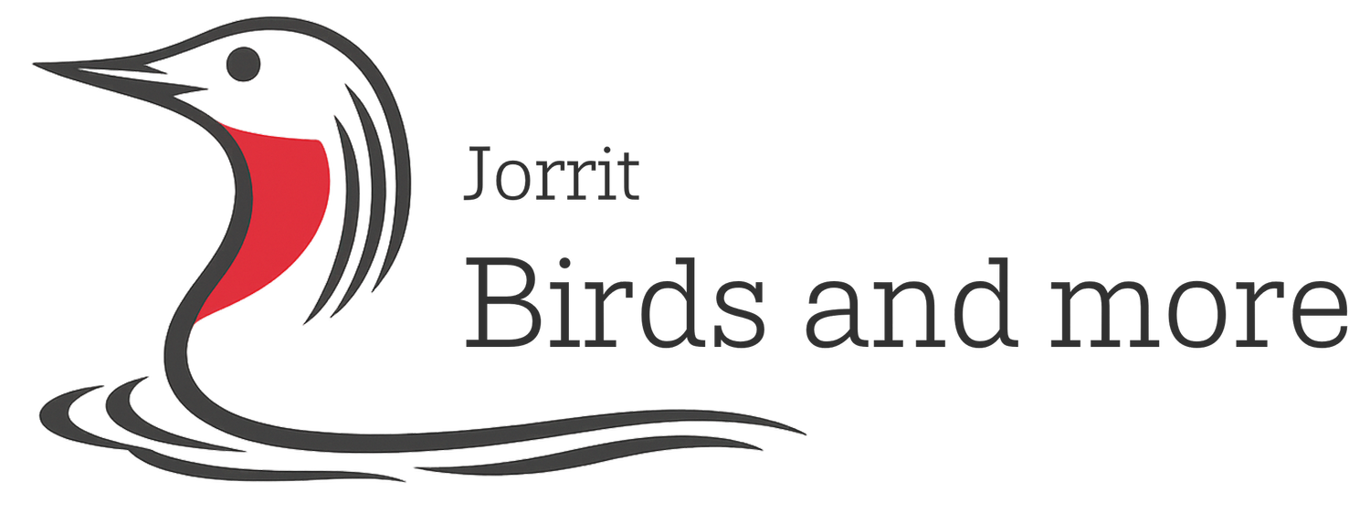 Jorrit Verkleij - Birdphotography