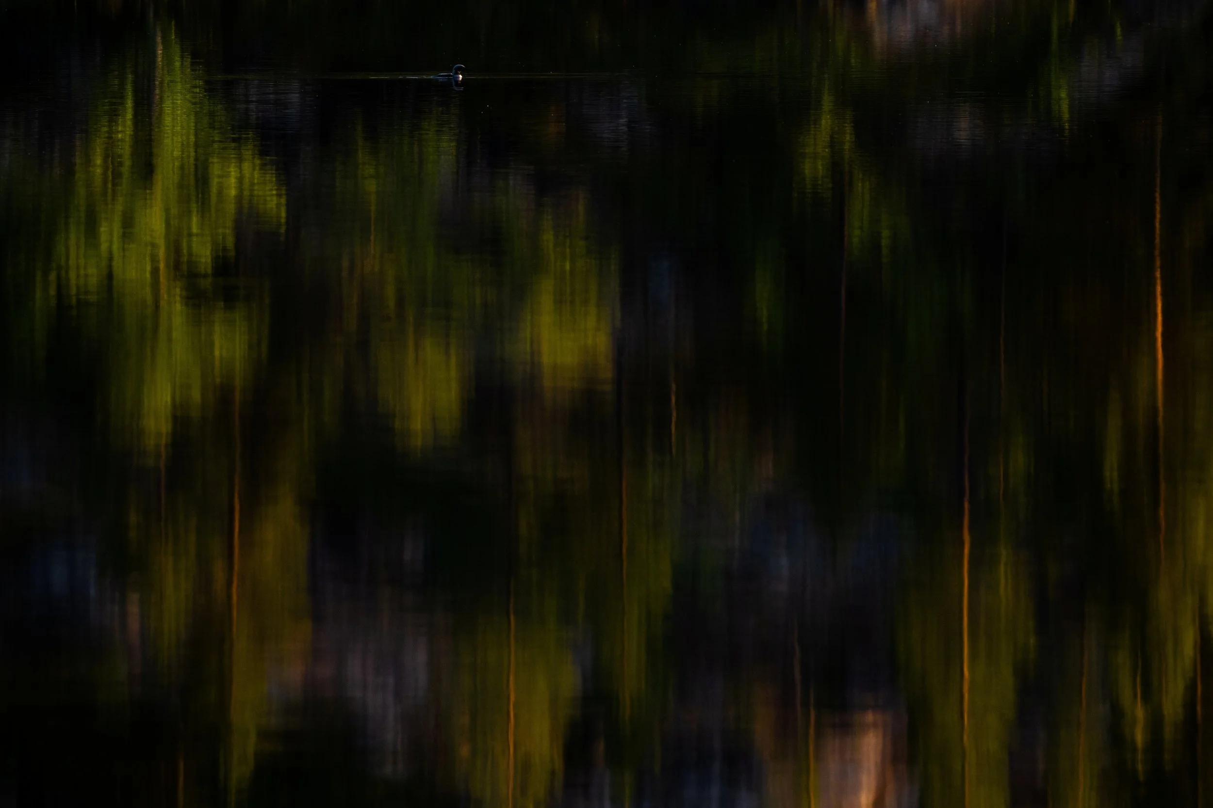 A small boat floating on a dark, reflective body of water near a forested shoreline.
