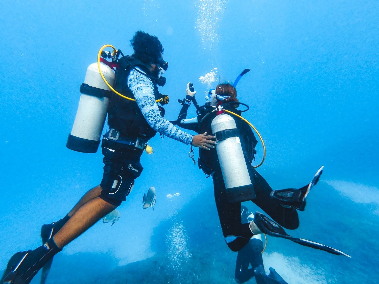 Advanced & Professional Courses