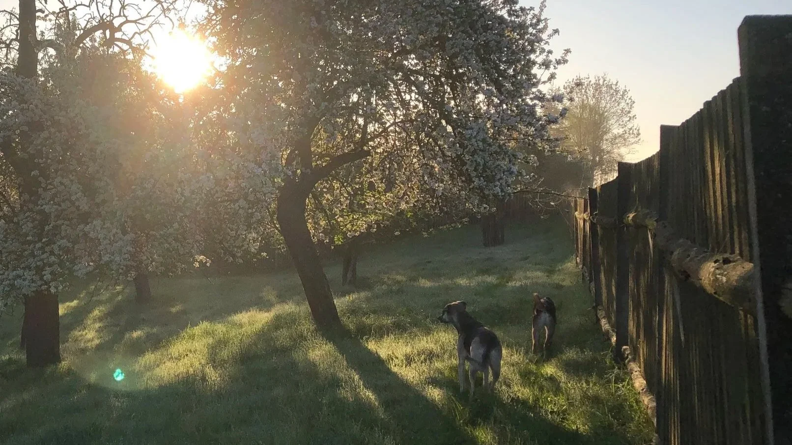 #1 Der Traum vom Landleben / coming soon