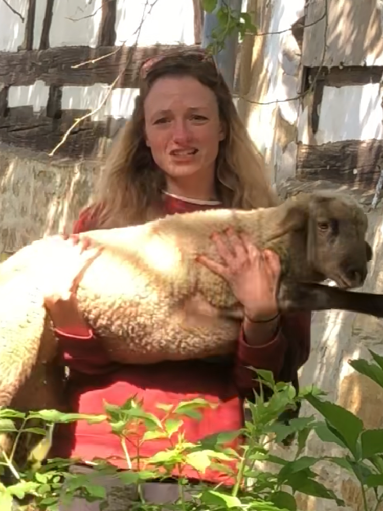 Eine Frau hält ein kleines Ferkel in den Armen, während sie im Freien steht, umgeben von grünen Pflanzen und einem alten, hölzernen Zaun.