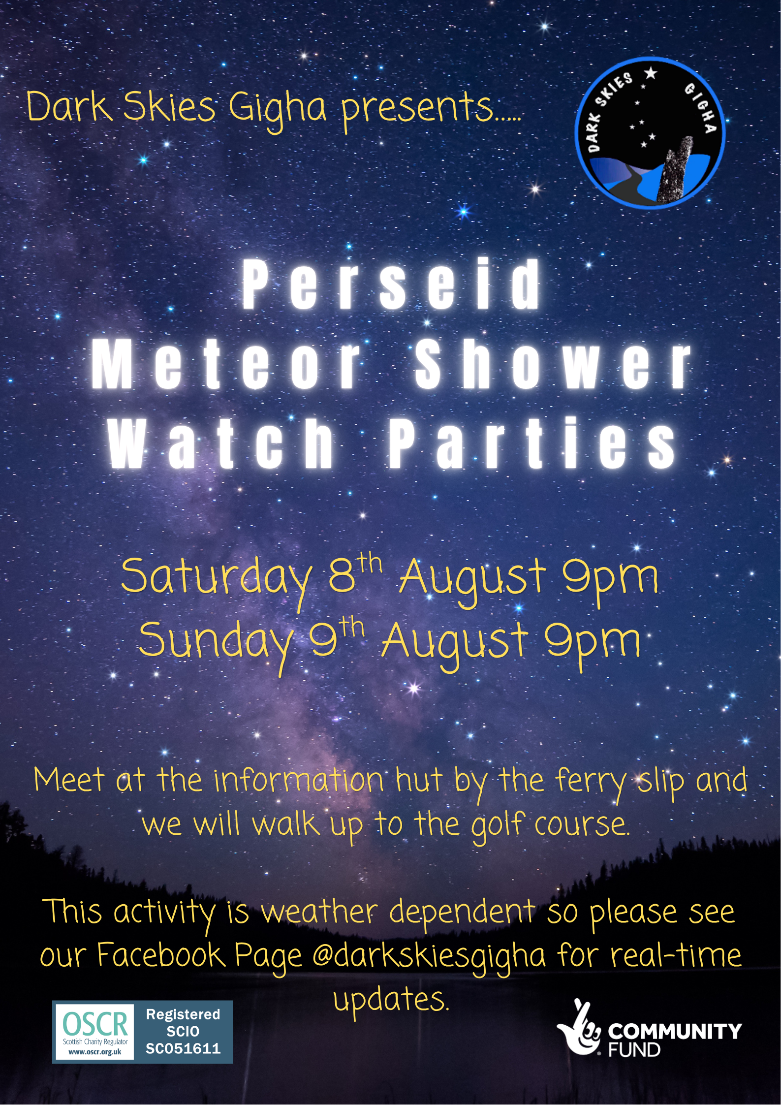 Perseid Meteor Showers Watch Parties 