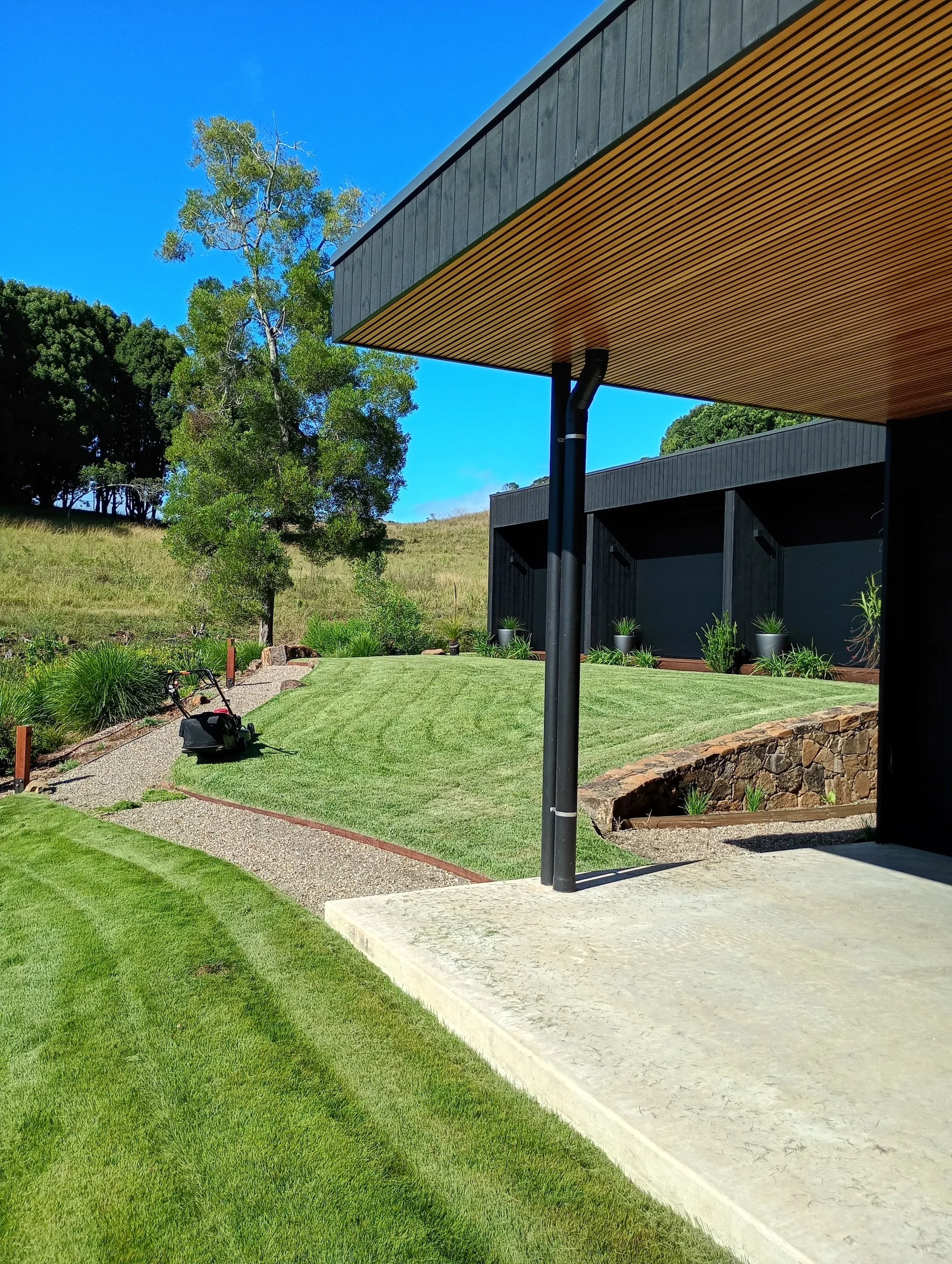 Sir Grange Zoysia - Lawn care 