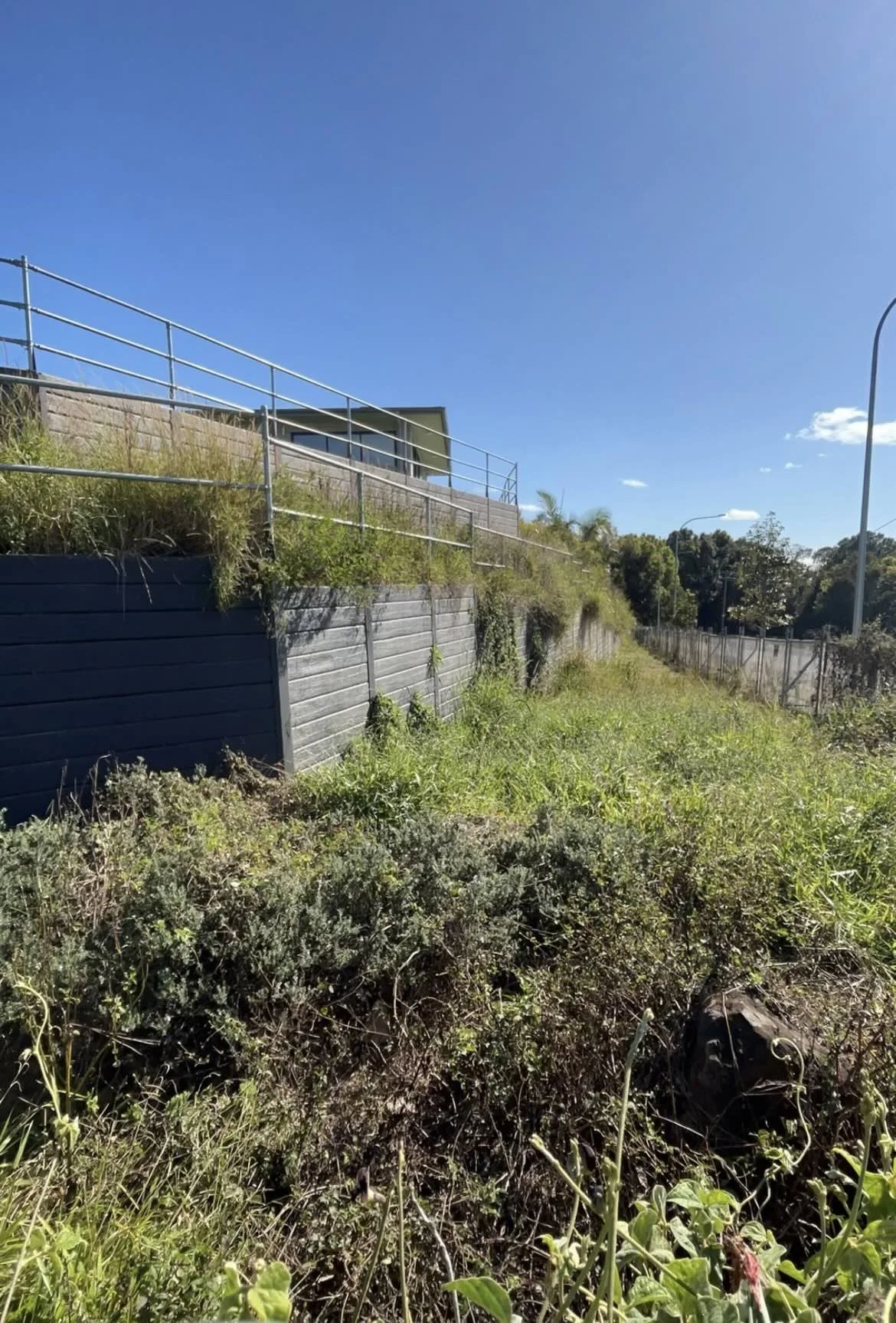 Byron Shire commercial landscape overhaul (before)
