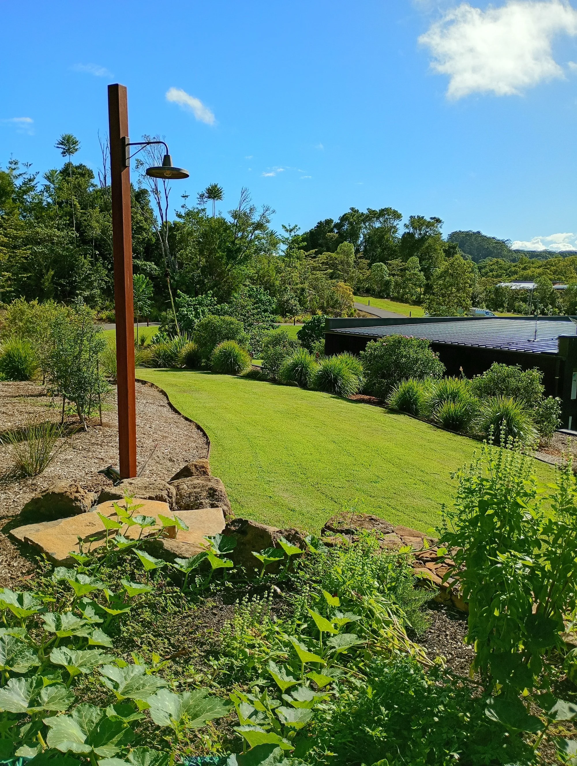 5-northern-rivers-byron-bay-lawn-mowing.jpg
