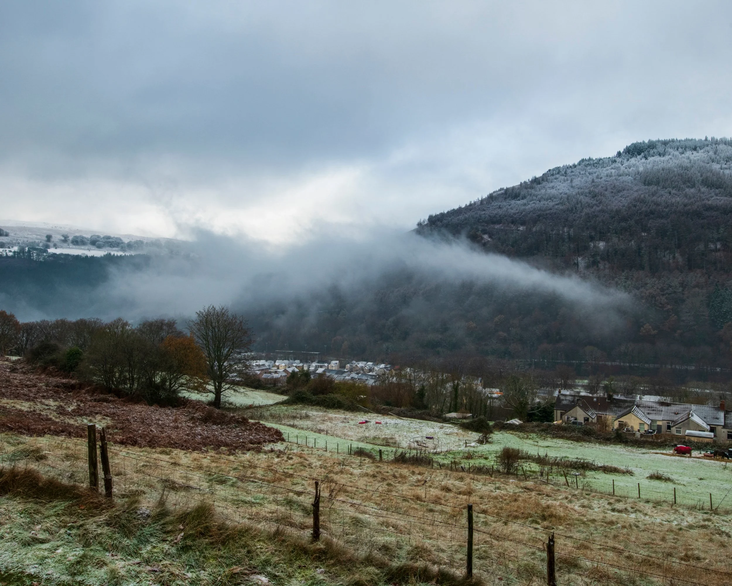 Frost-covered fields and trees in a rural landscape with mountains in the background and mist rolling through the valley on a cloudy day.