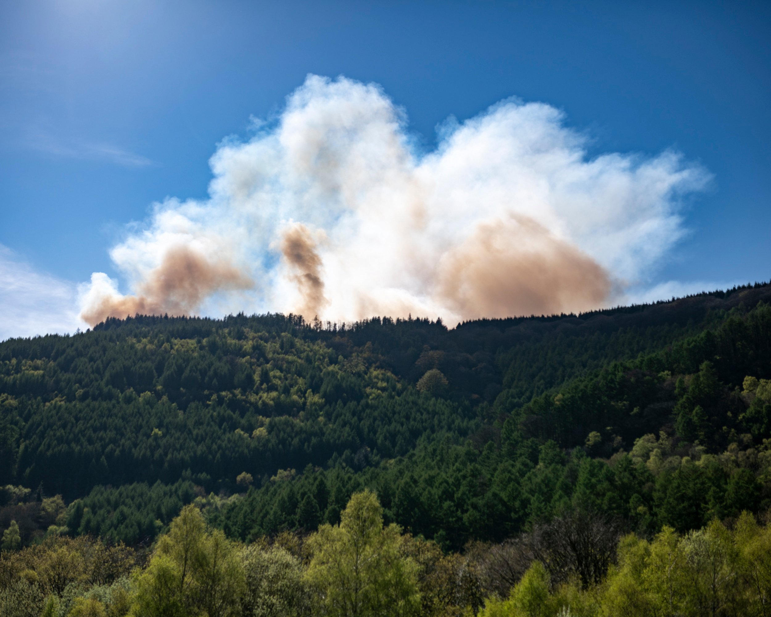 A forested hill with smoke rising from the trees against a blue sky.