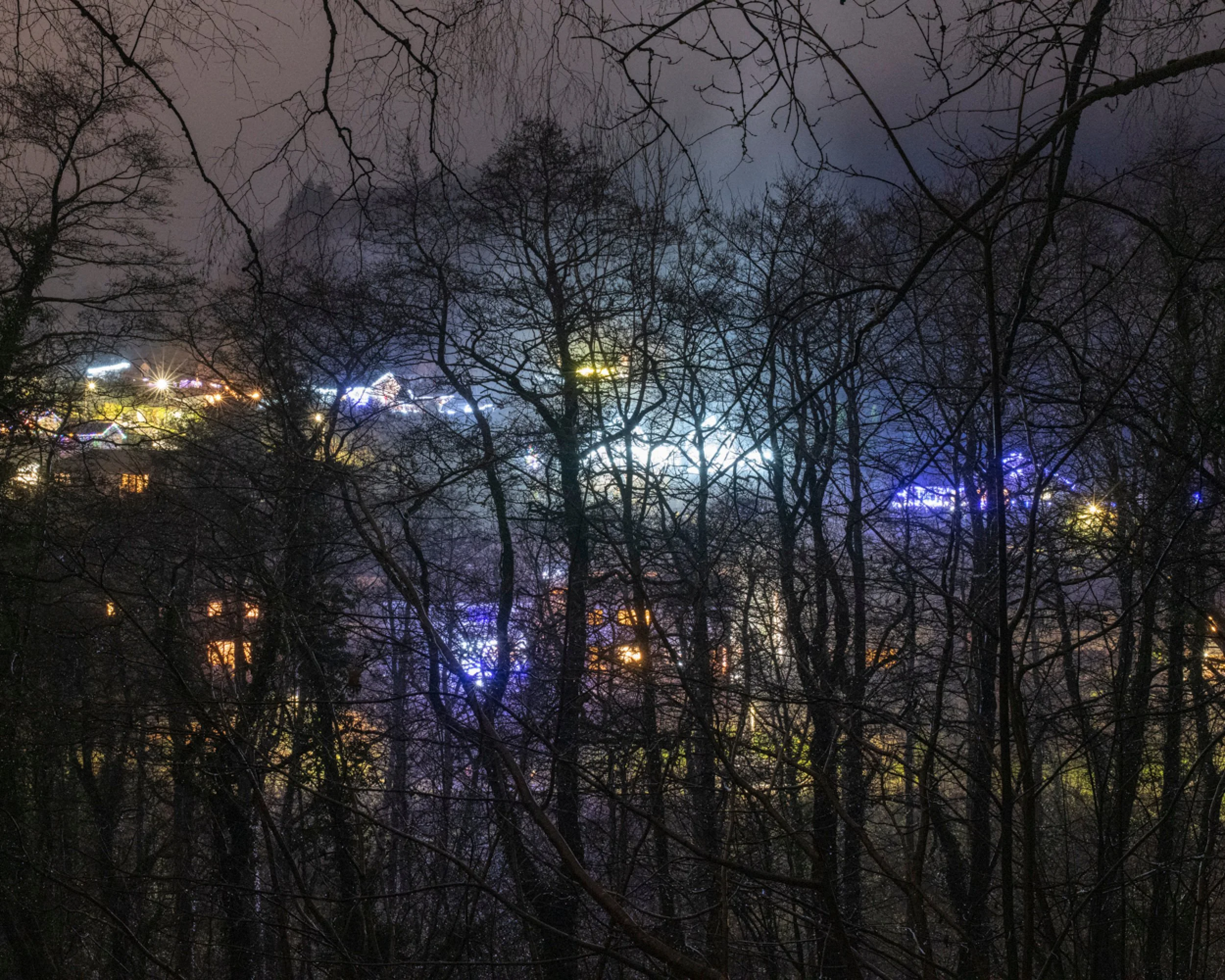 Nighttime view through leafless trees of colorful lights illuminating a building or amusement park in the distance.