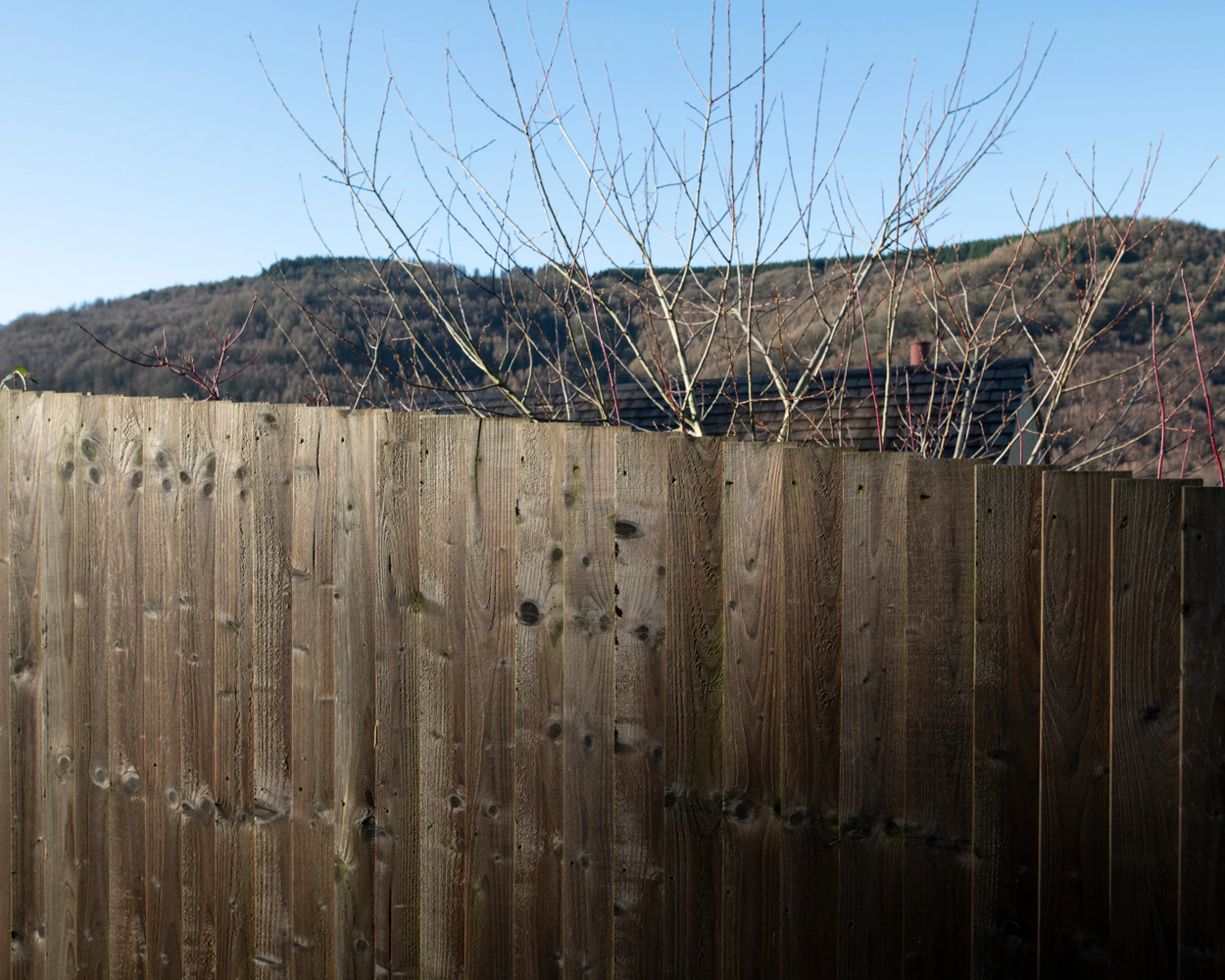 A wooden fence with a leafless tree and mountain in the background under a clear blue sky.