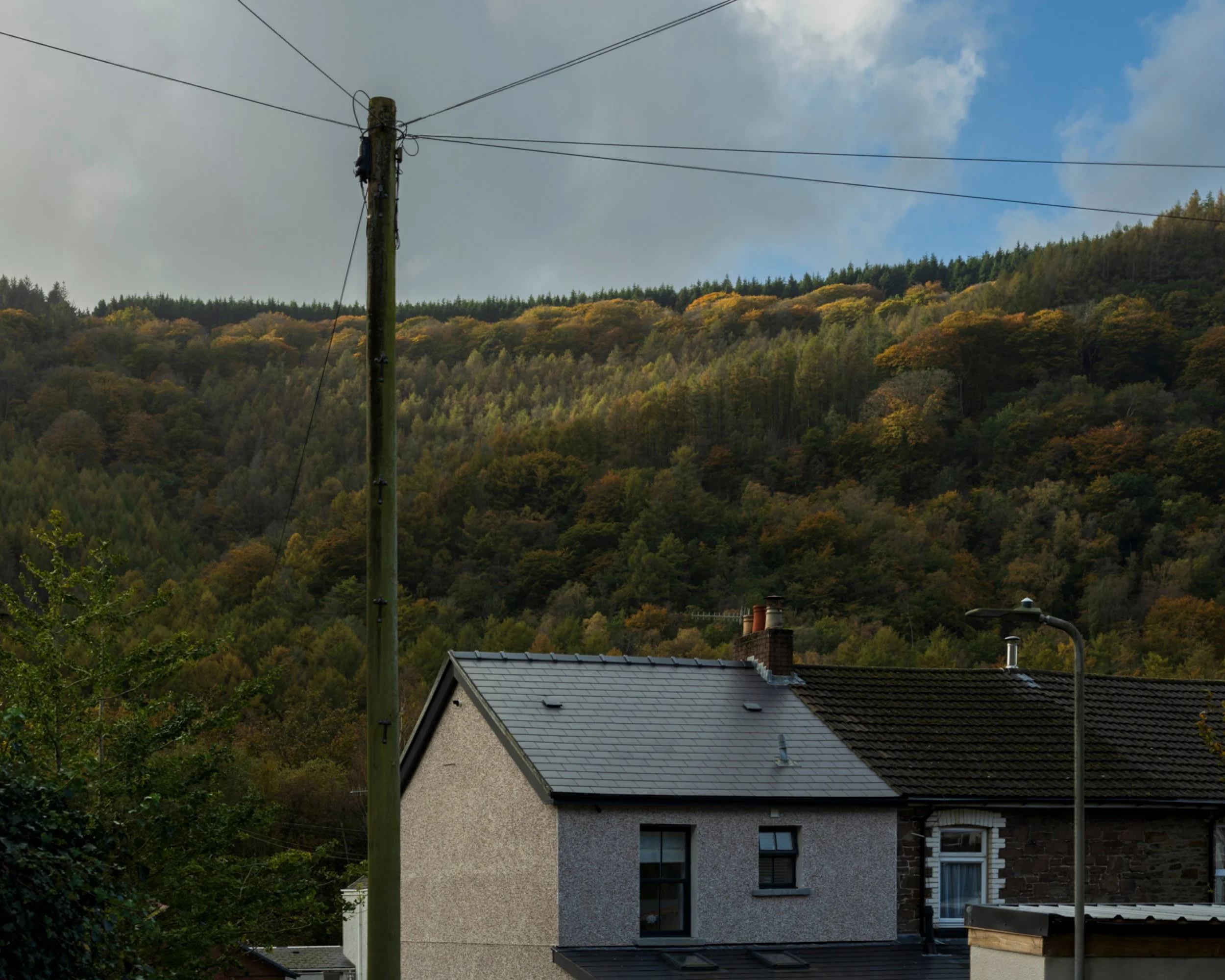 Residential houses with trees and hills in the background.