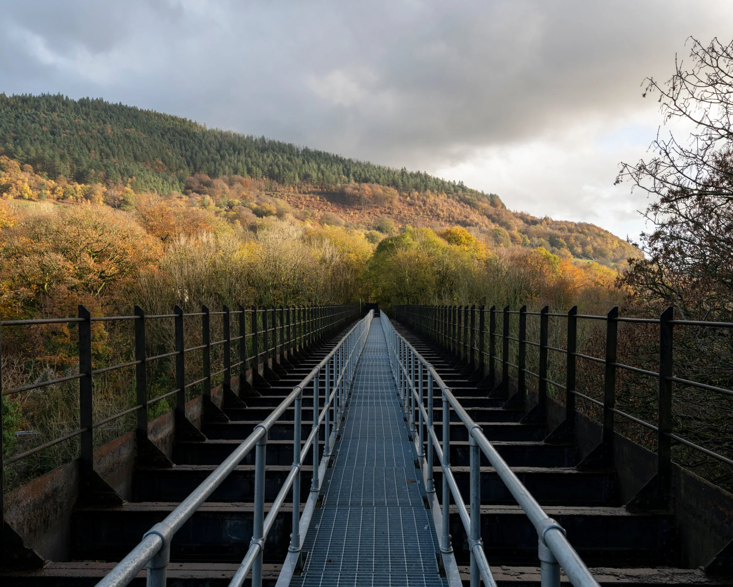 A metal walkway bridge leading into a wooded hillside with autumn foliage, under a partly cloudy sky.