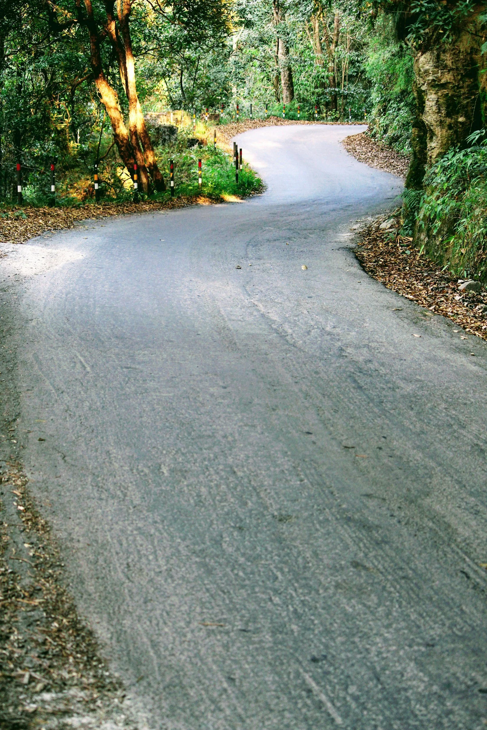 Facing a Challenging Operating Environment
