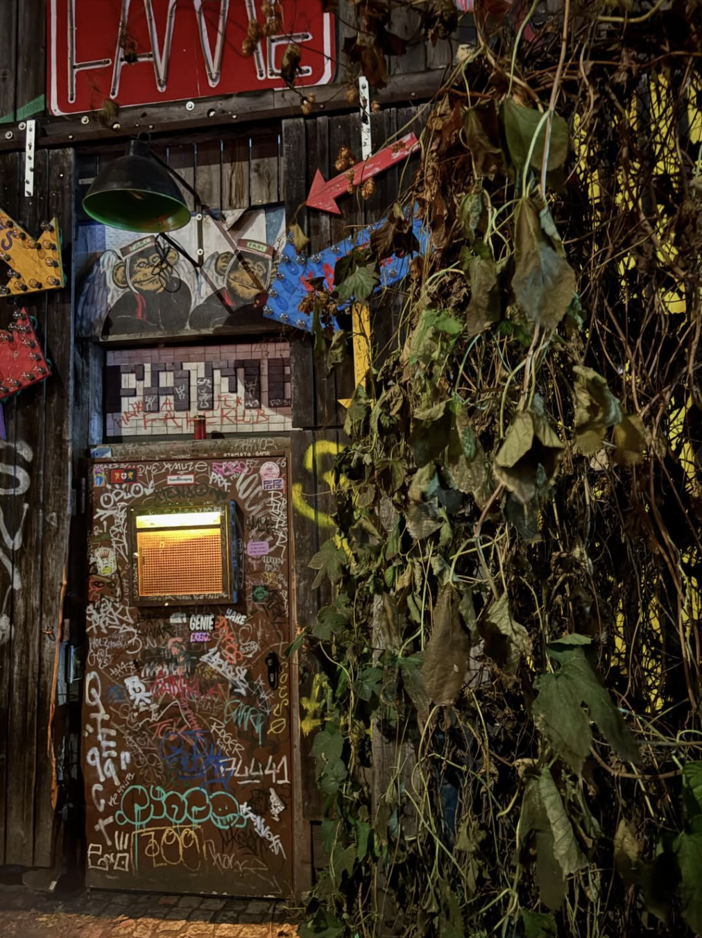 A graffiti-covered door with a small window and various graffiti tags, surrounded by dried vines and foliage, with a neon sign partially visible above.