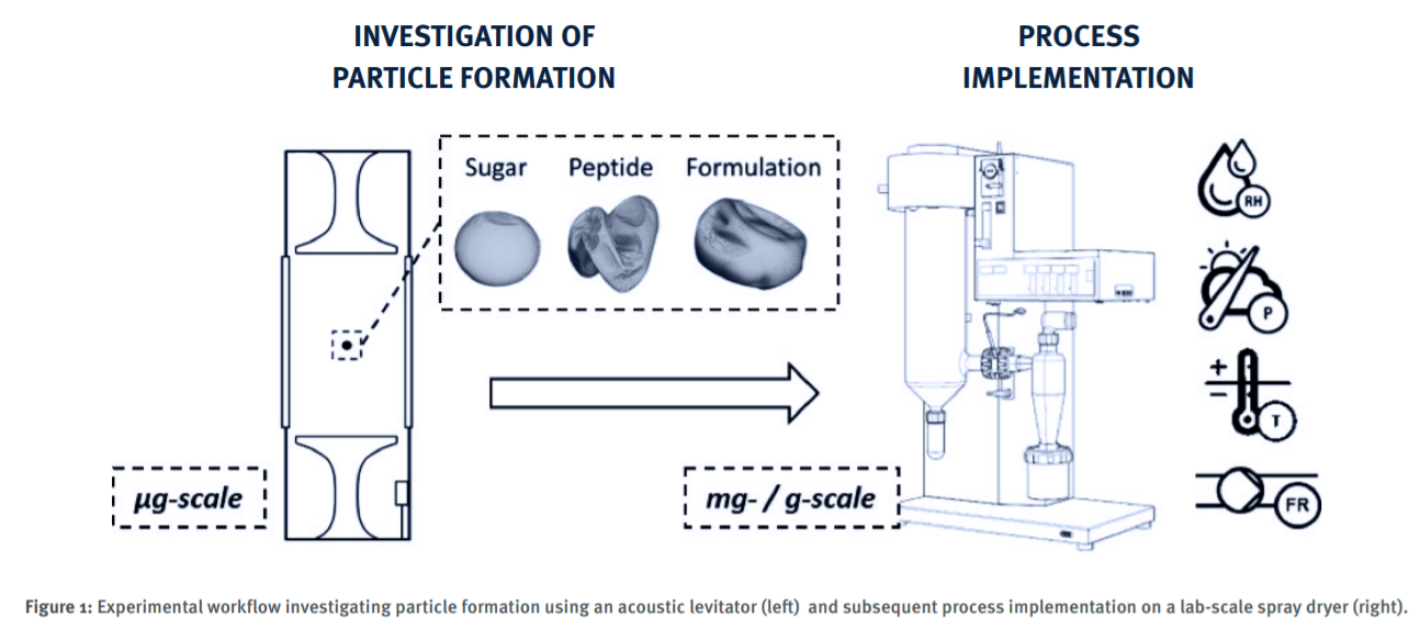 Peptide Isolation via Spray Drying: Investigating Particle Formation and Means of Process Implementation