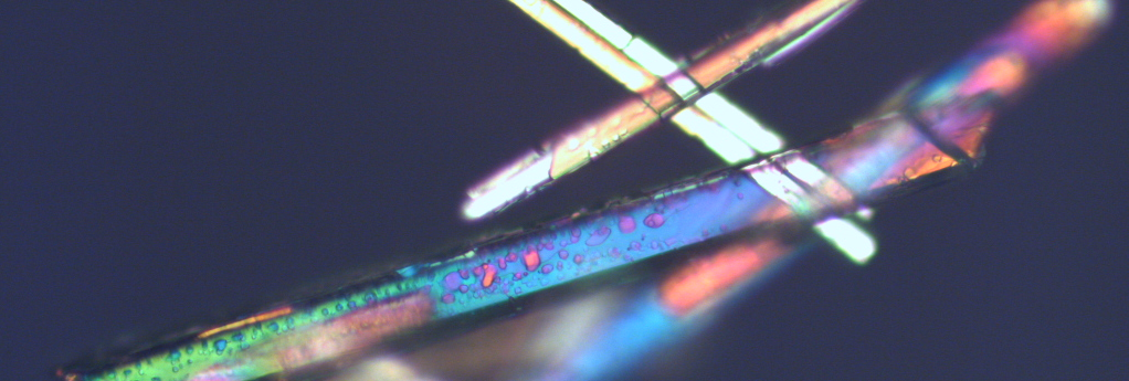 Award Winning Facilities