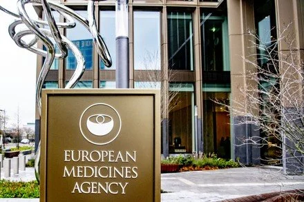 HMA/EMA multi-stakeholder workshop on reporting and qualification of mechanistic models for regulatory assessment