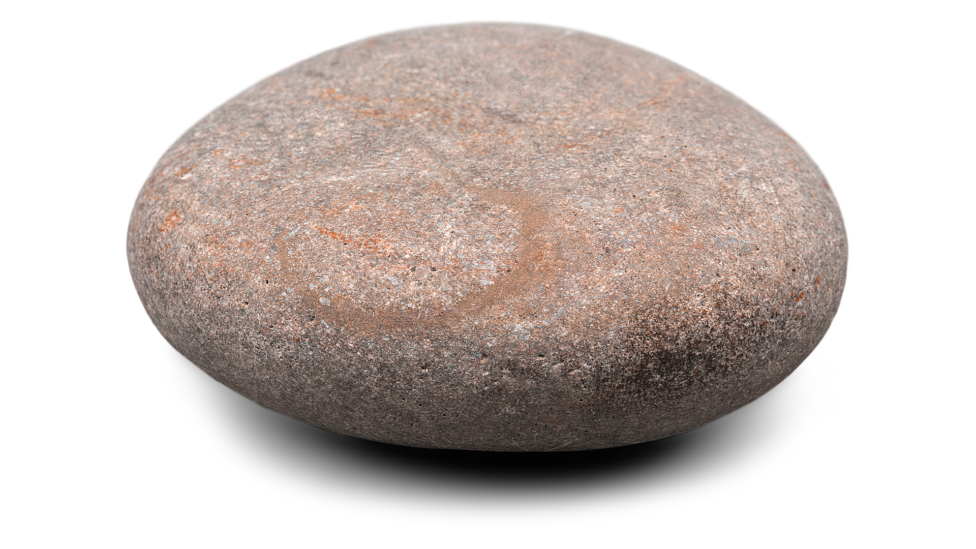 Close-up of a smooth, rounded stone with a speckled surface, grayish and light brown in color.