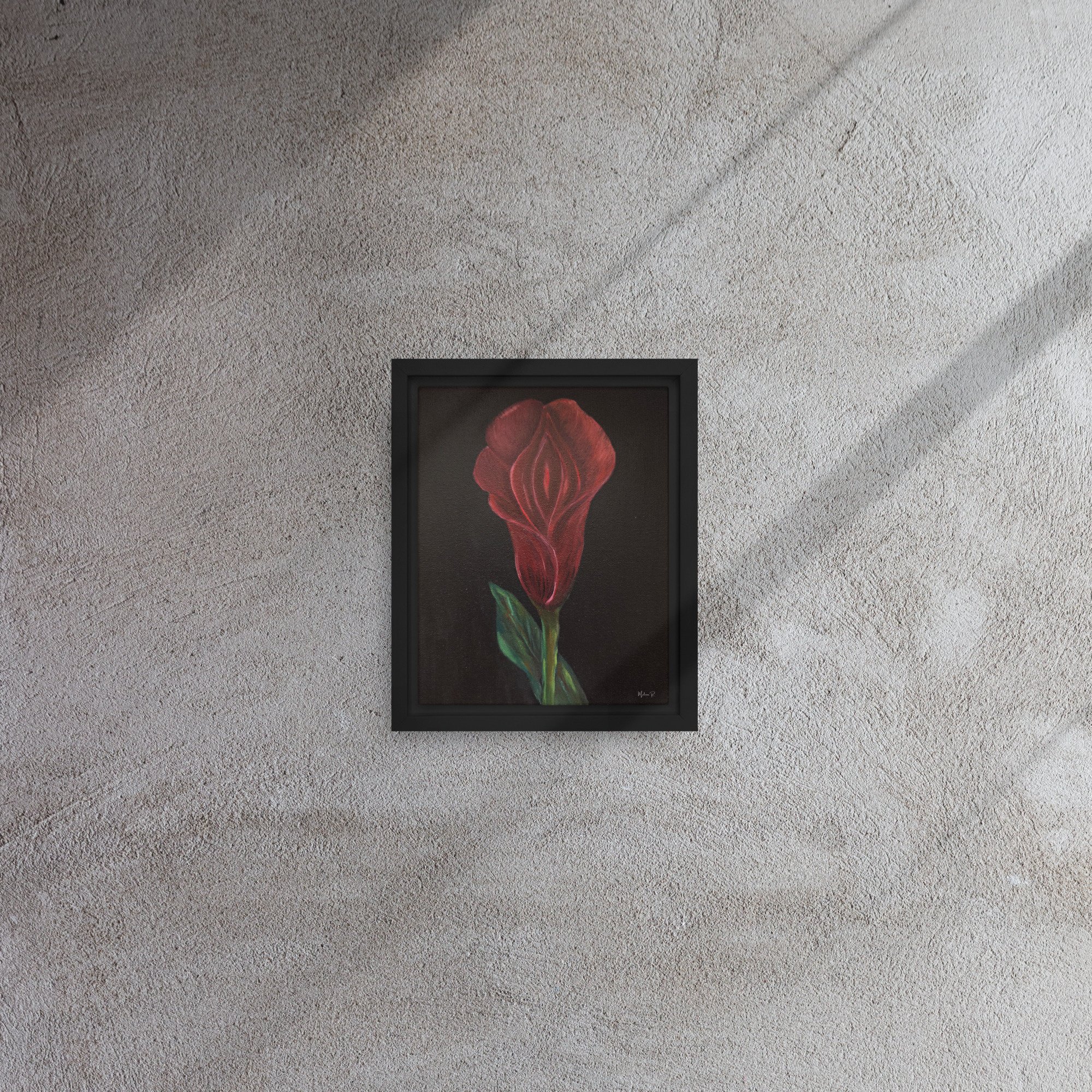 framed-canvas-(in)-black-8x10-front-69fe4f19668ba.jpg