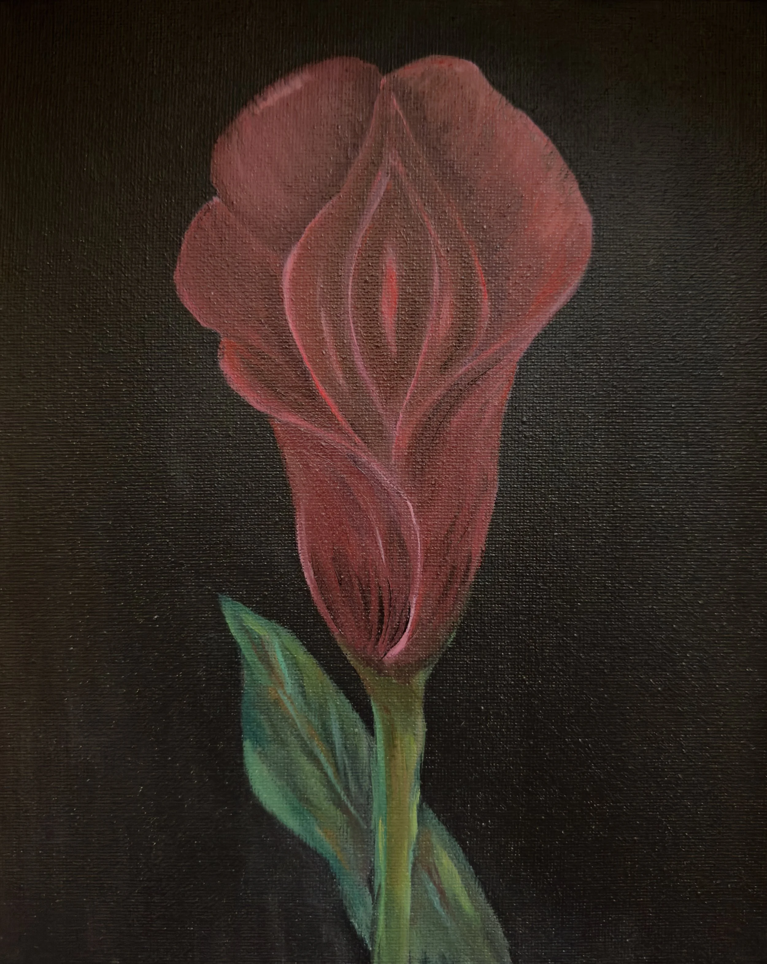 Womb of Shadow