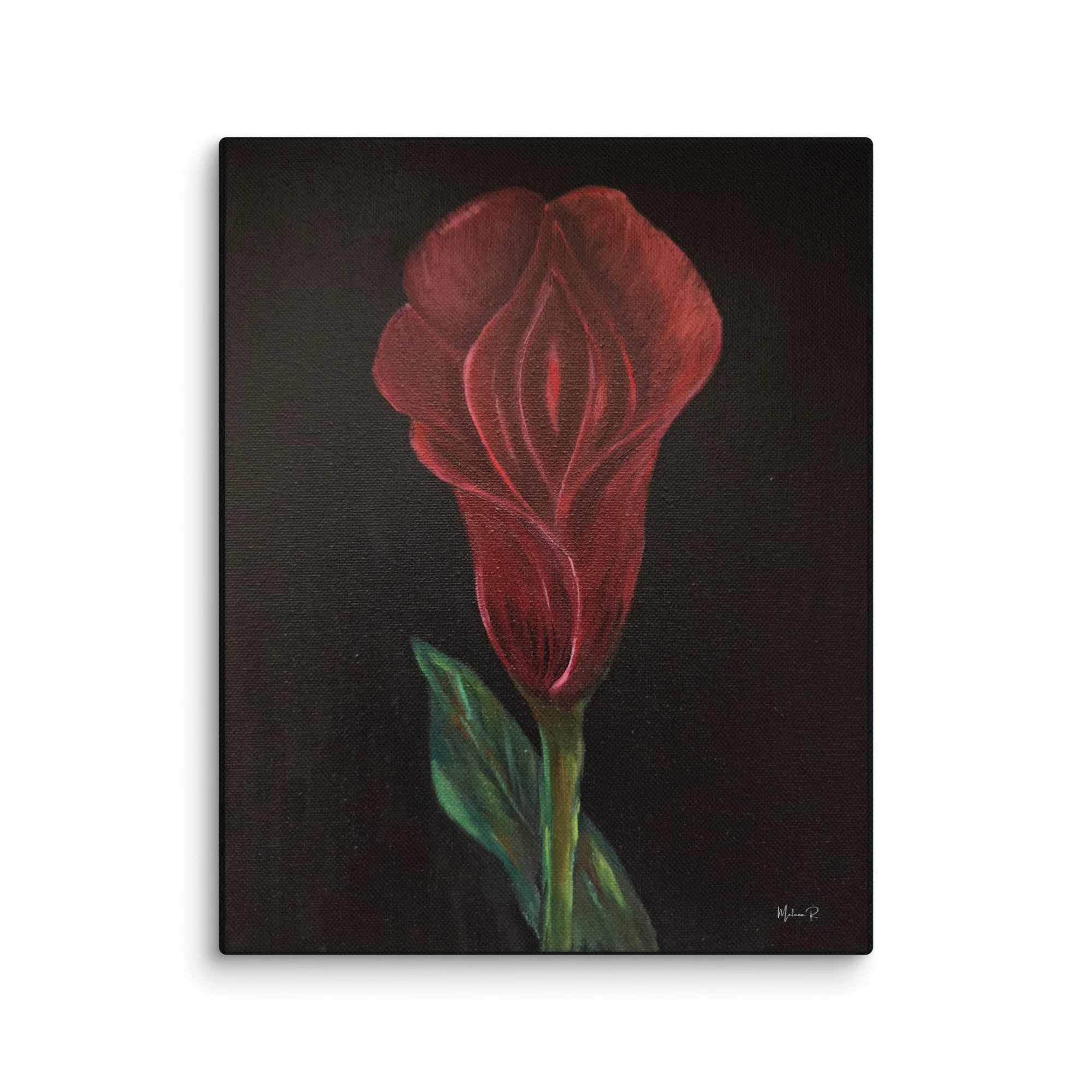 Womb of Shadow - Canvas Print