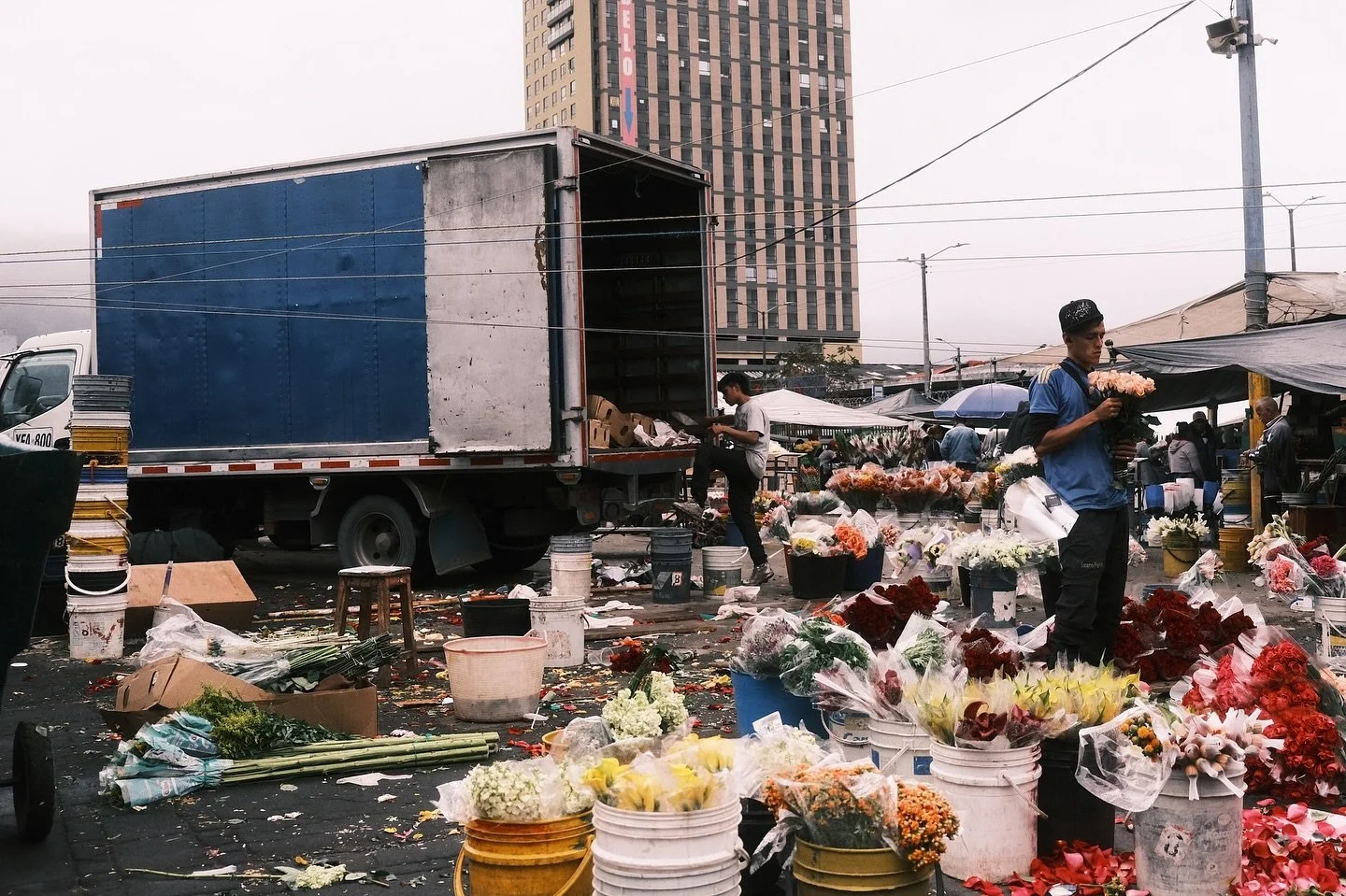 thinking thinking 
Fuji Xt4 

.
#photo #flowers #colombia #myfujifilmlegacy #fuji #fujifilm #xt4 #streetlife #streetphotography