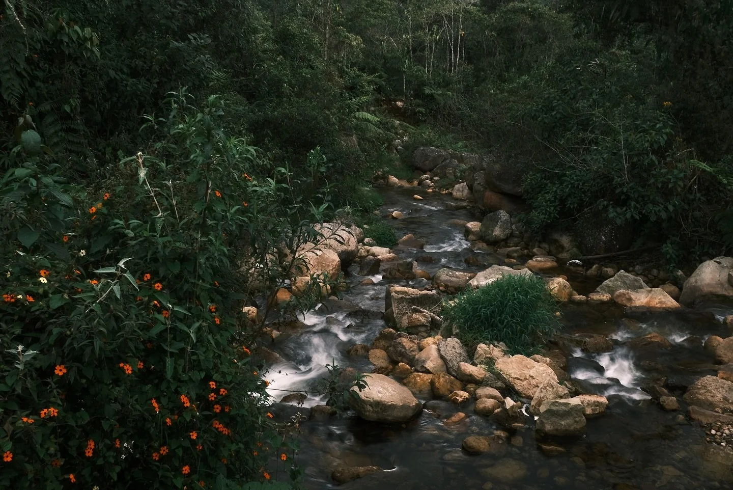 On a walk 
Fujifilm XT4 

.
#myfujifilm #myfujifilmlegacy #myfujifilmsa #fujifilm #fujifilmxt4 #fujifilmphotography #fujifilmxseries #photography #camera #photos #pic