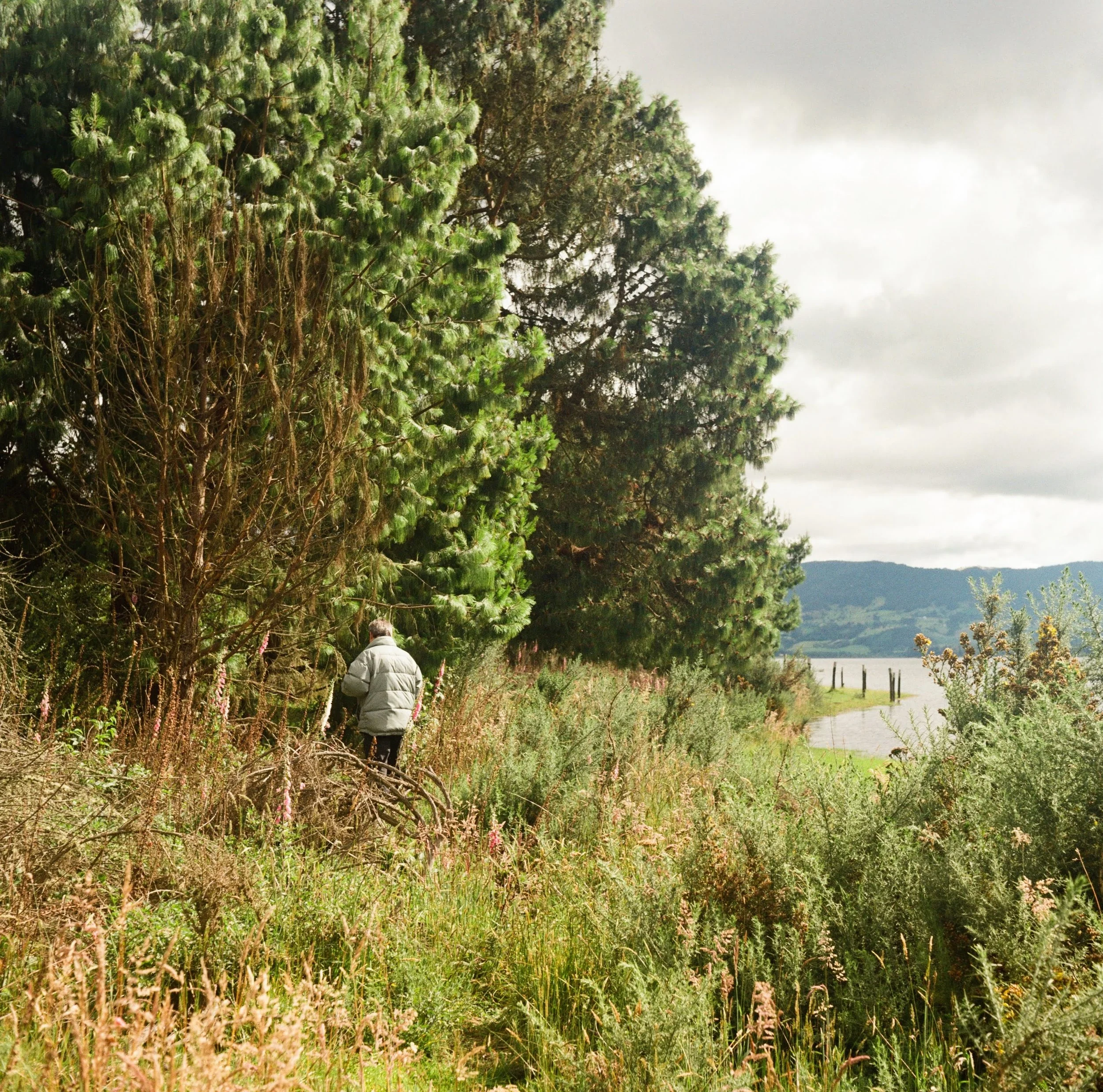 000118310007 Copy.JPG