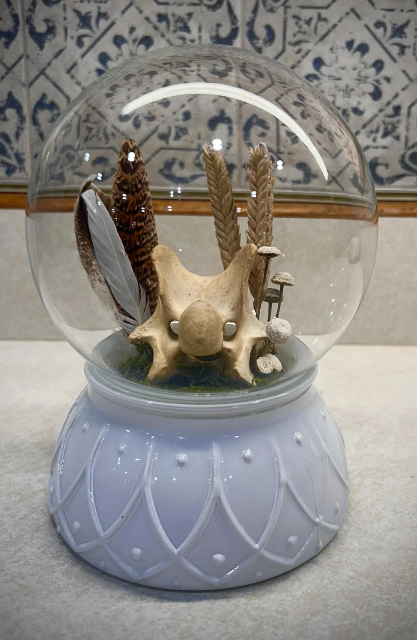 Vertebra & Floral Cloche 1