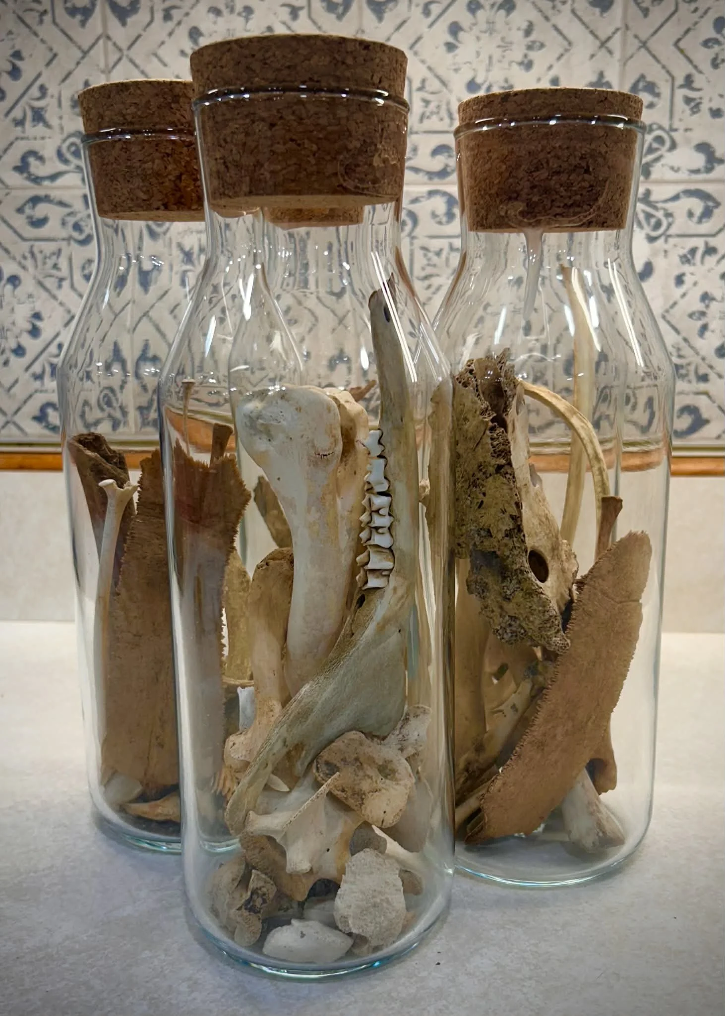 Large Jar of Bones