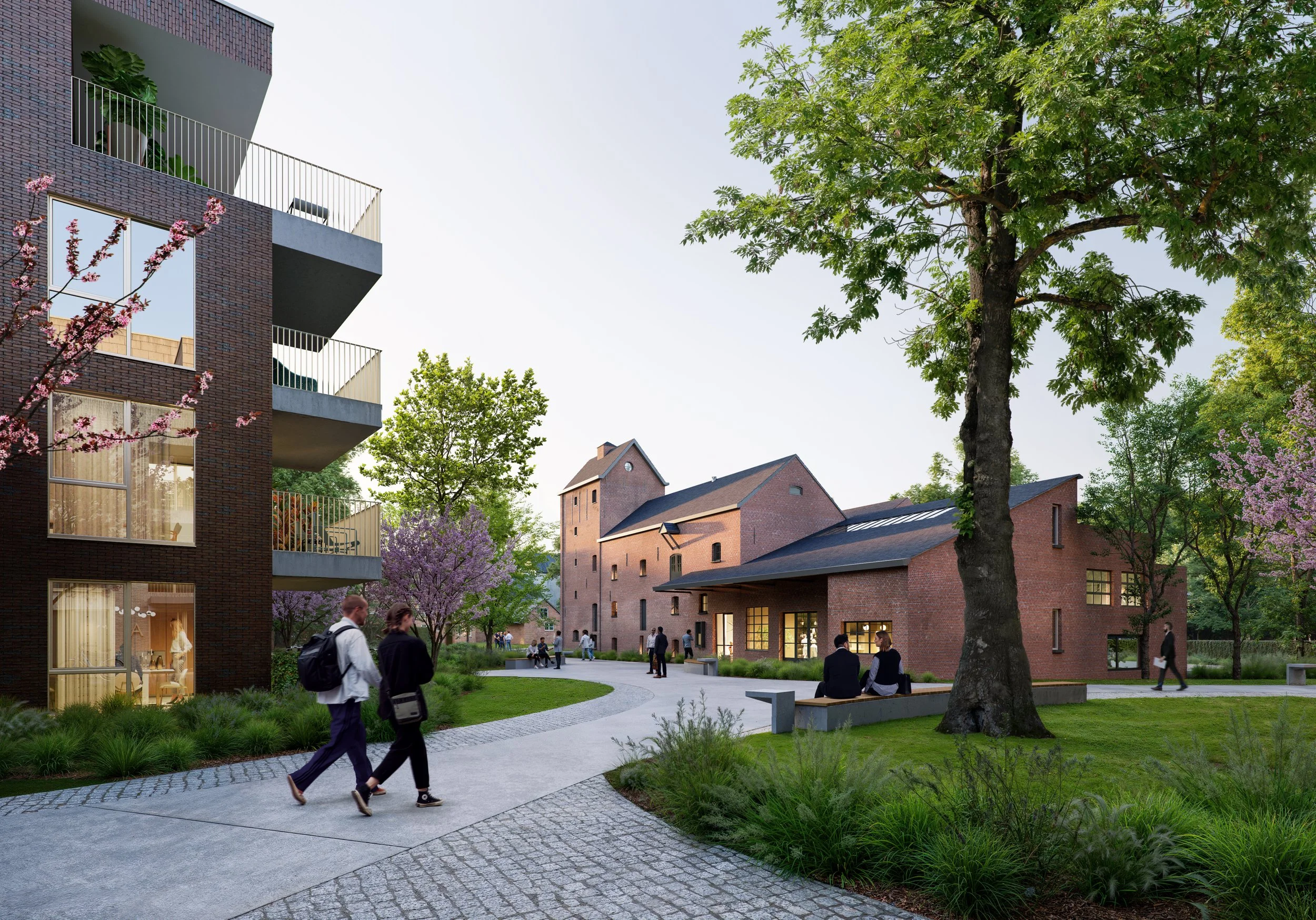 SEBRH_2024.10.31_EXT 12_Final.jpg