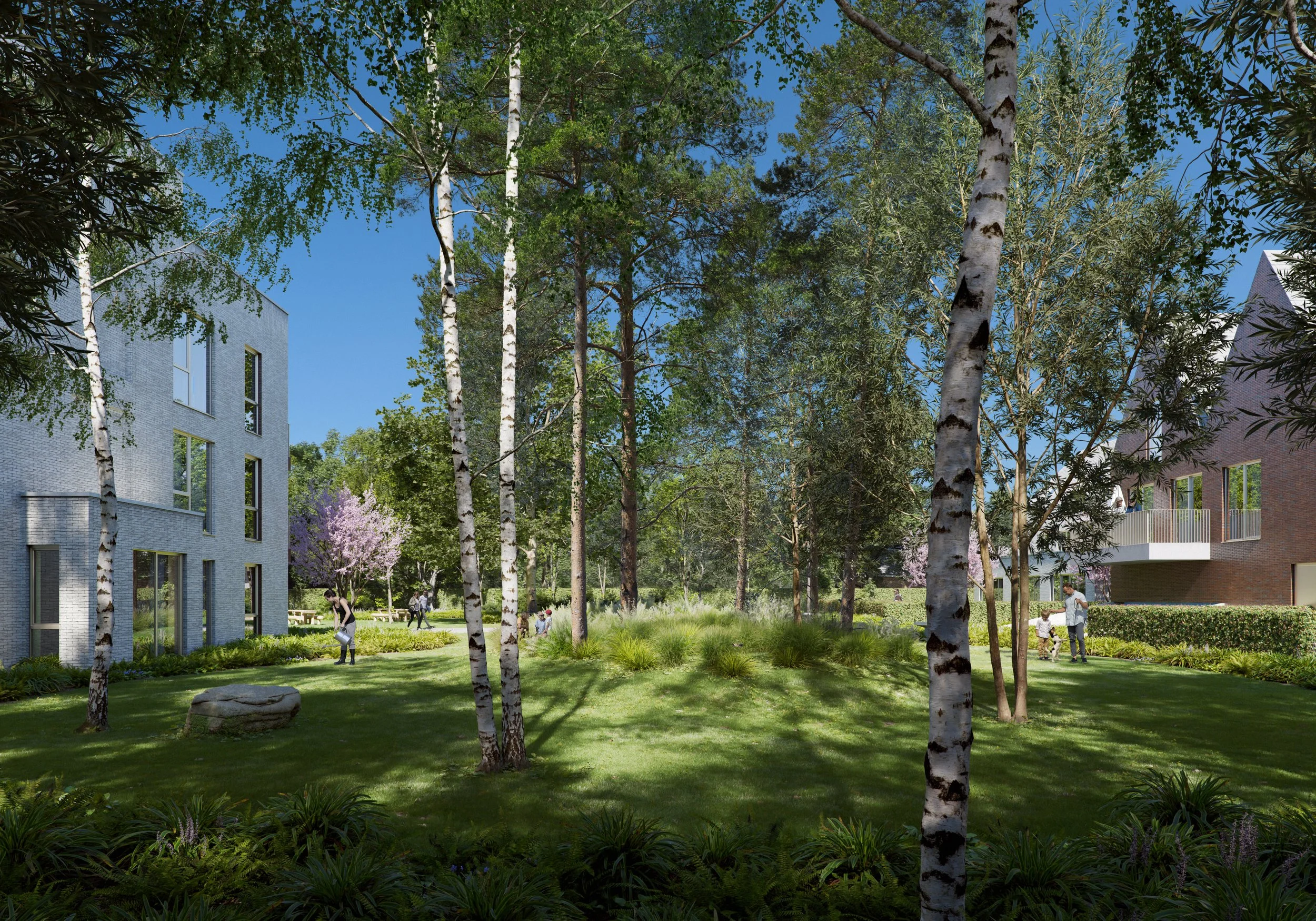 SEBRH_2023-12-15_EXT 004_Final.jpg