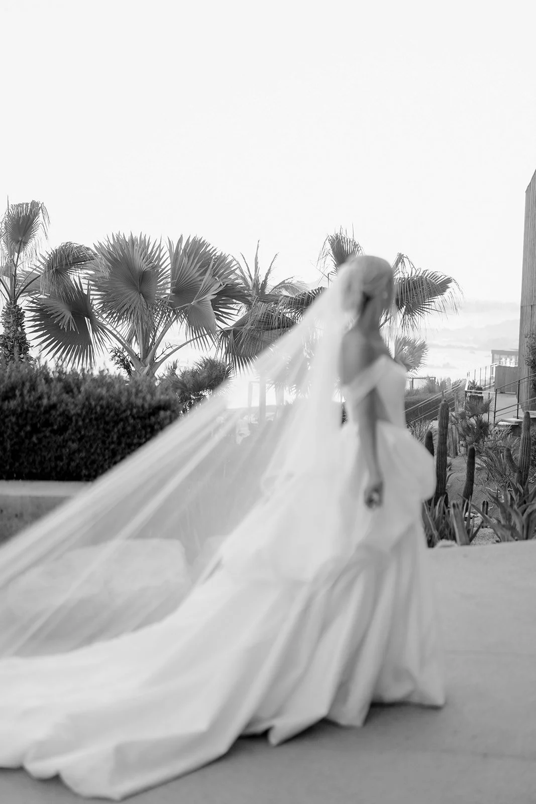 mcwphotocinema_Samantha&Alex-577-132.jpg (copia)