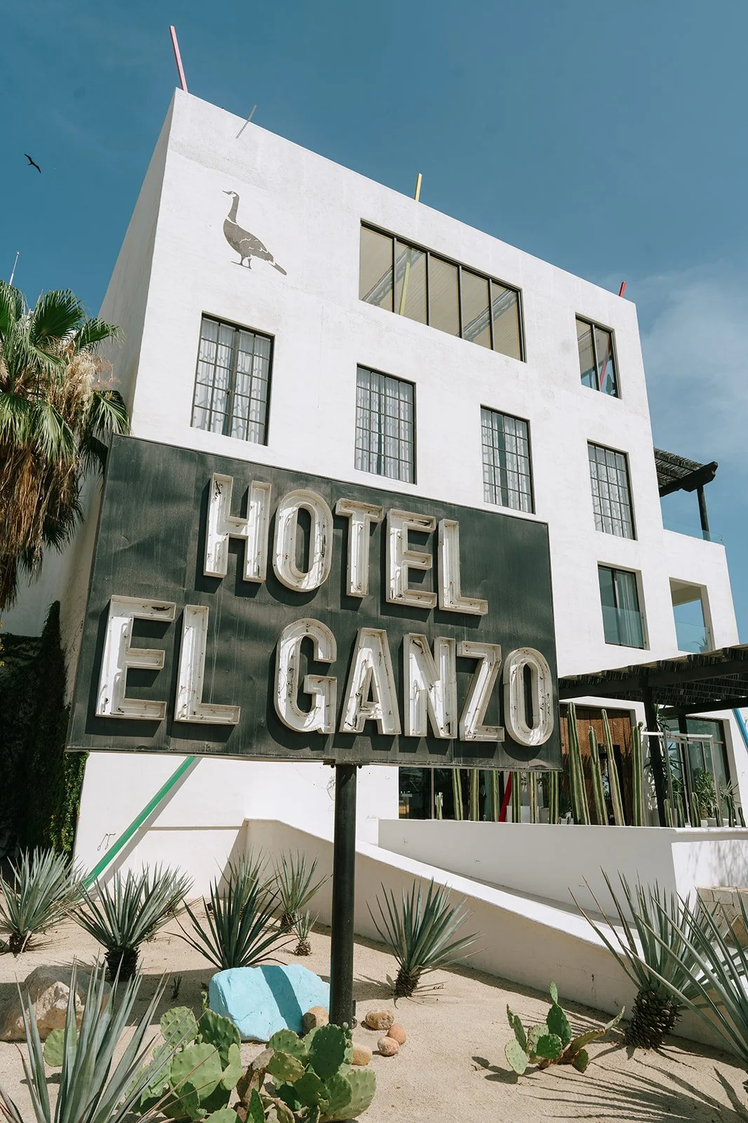 los-cabos-mexico-destination-wedding-photography-acre-resort-mcw-photocinema-portfolio320.jpg
