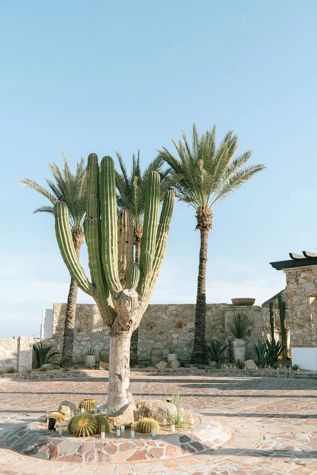 flora-farms-destination-wedding-los-cabos-mcw-photocinema0.jpg