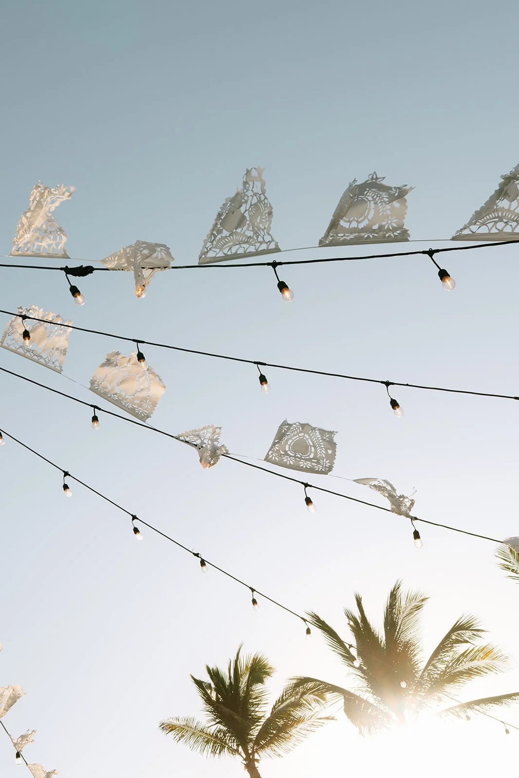 flora-farms-destination-wedding-los-cabos-mcw-photocinema7.jpg