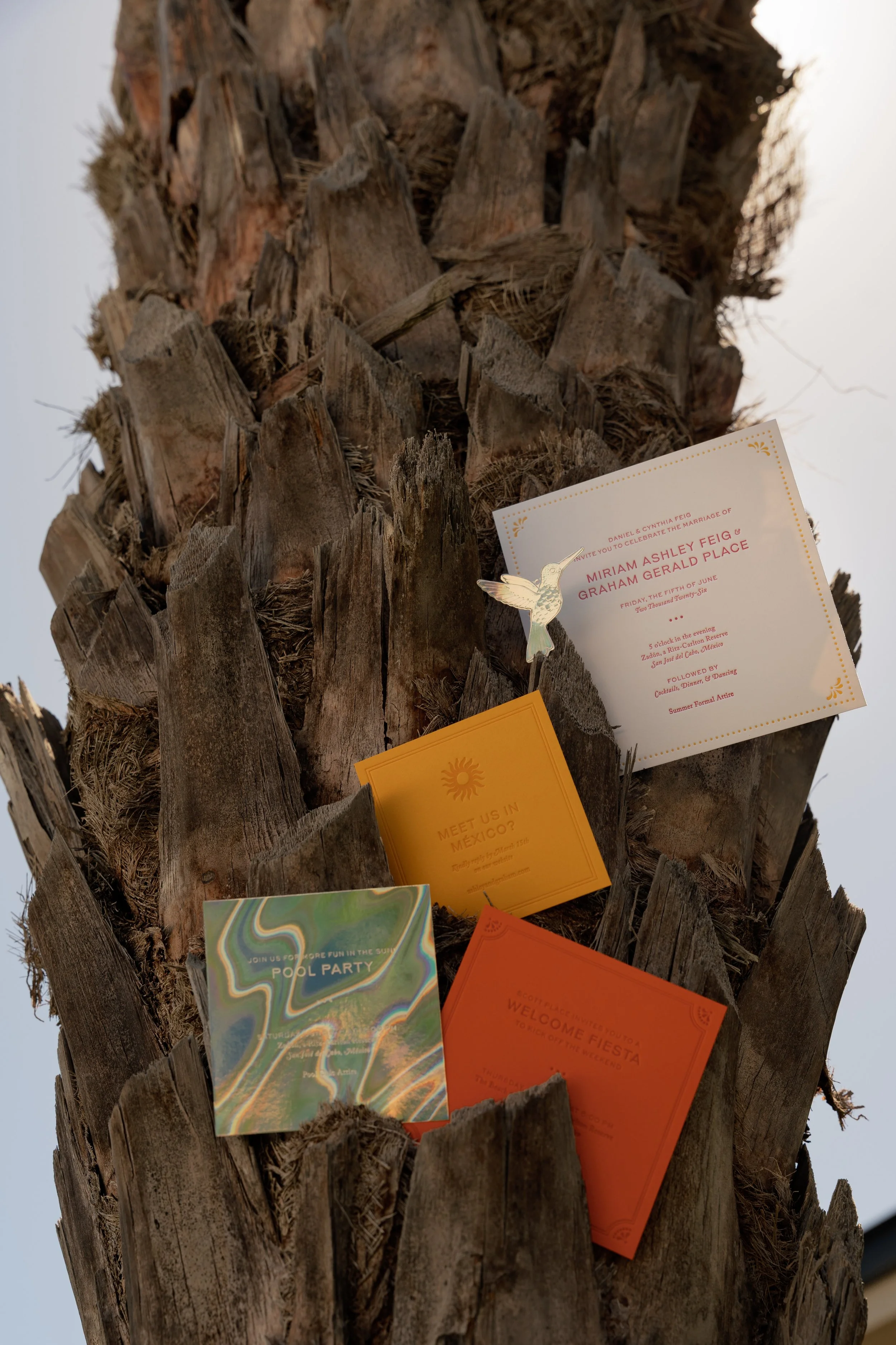 mcwphotocinema_ashley&graham_wedding0202.jpg