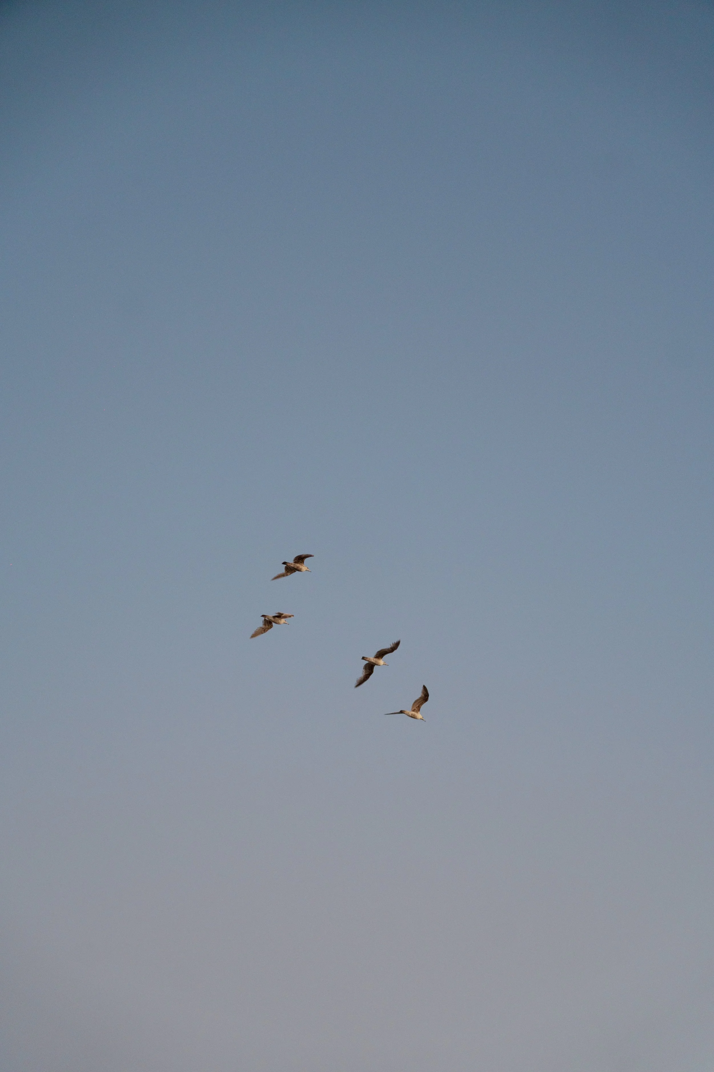 mcwphotocinema_ashley&graham_wedding1203.jpg