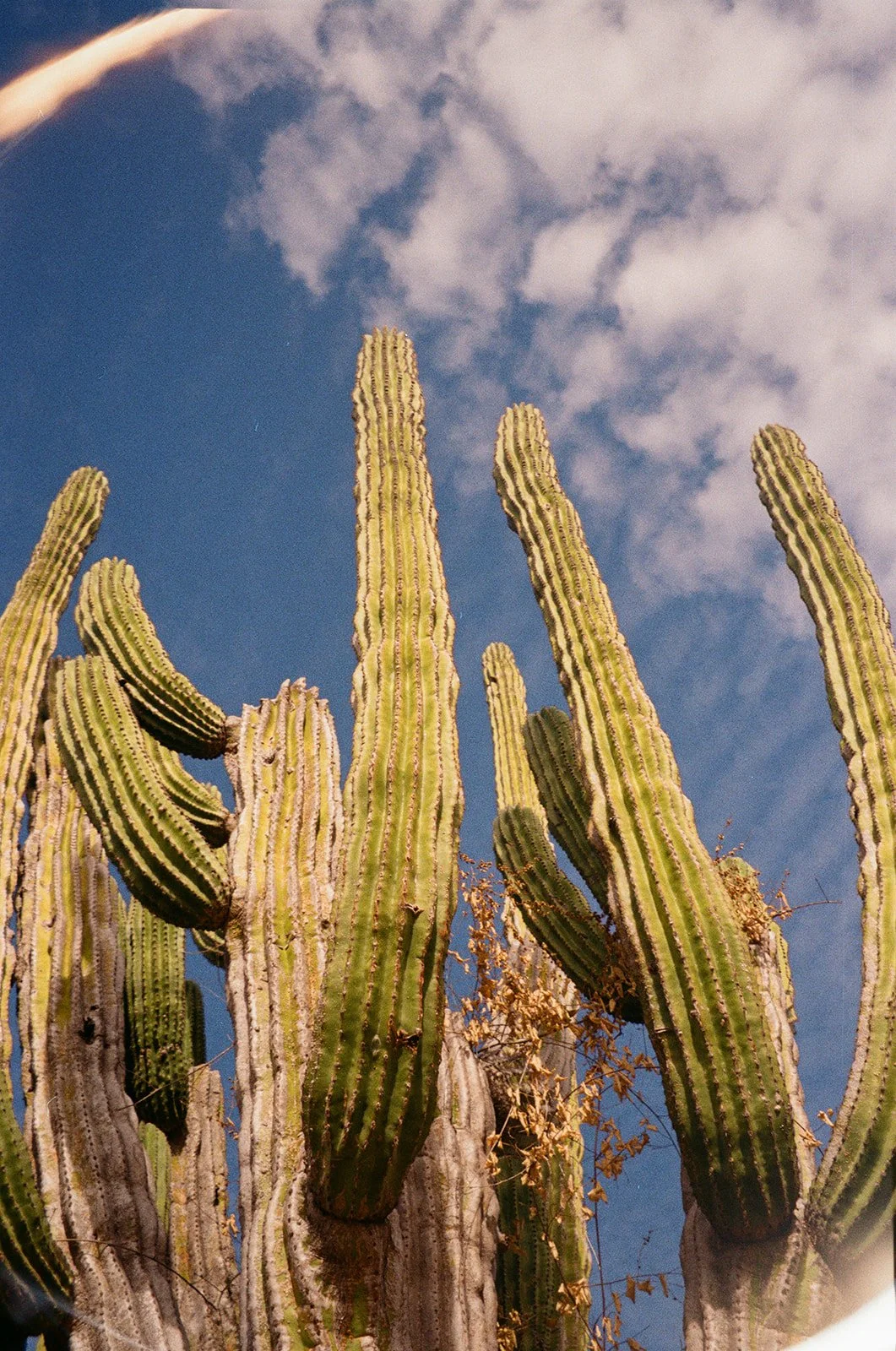 mcwphotocinema_Abbey&Canaan_film-17_websize.jpg