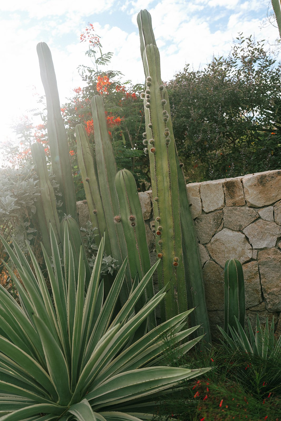 mcwphotocinema_francesca&adan_sneakpeek-34_websize.jpg