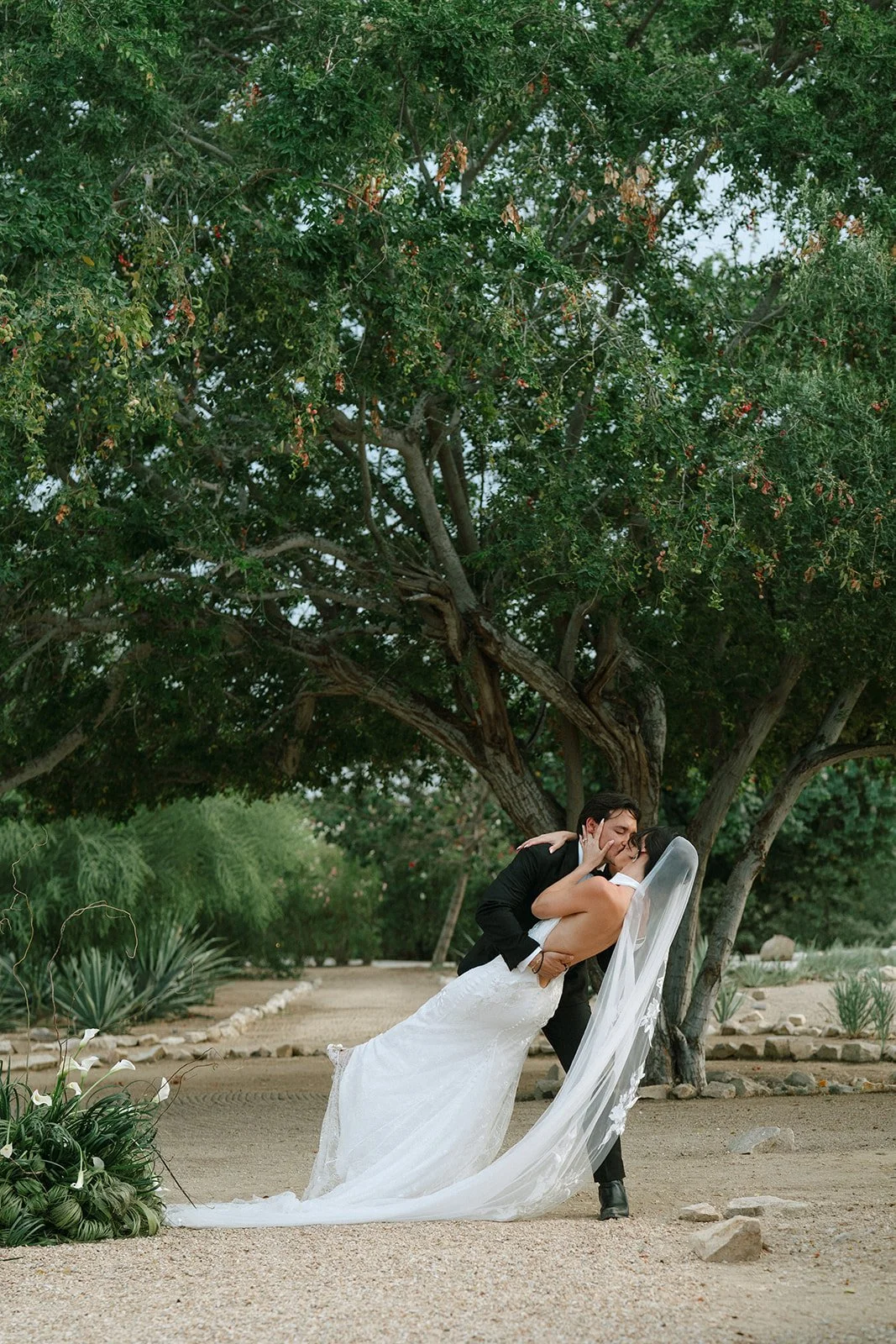 mcwphotocinema_francesca&adan_sneakpeek-50_websize.jpg