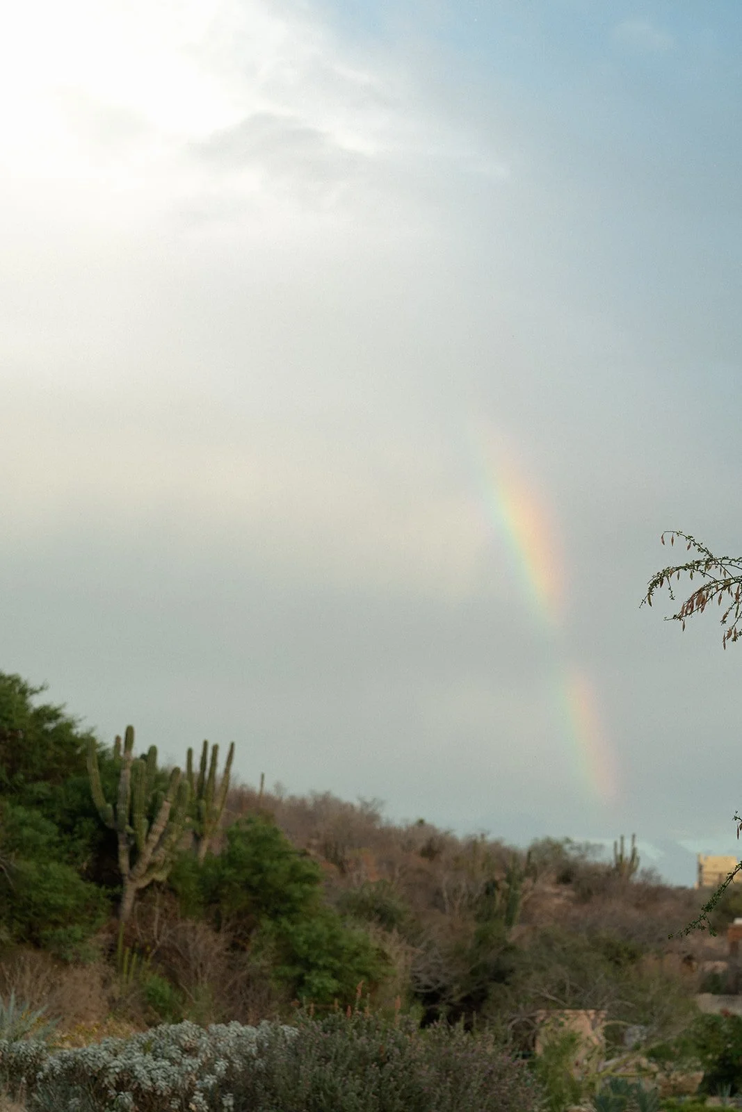 mcwphotocinema_francesca&adan_sneakpeek-76_websize.jpg