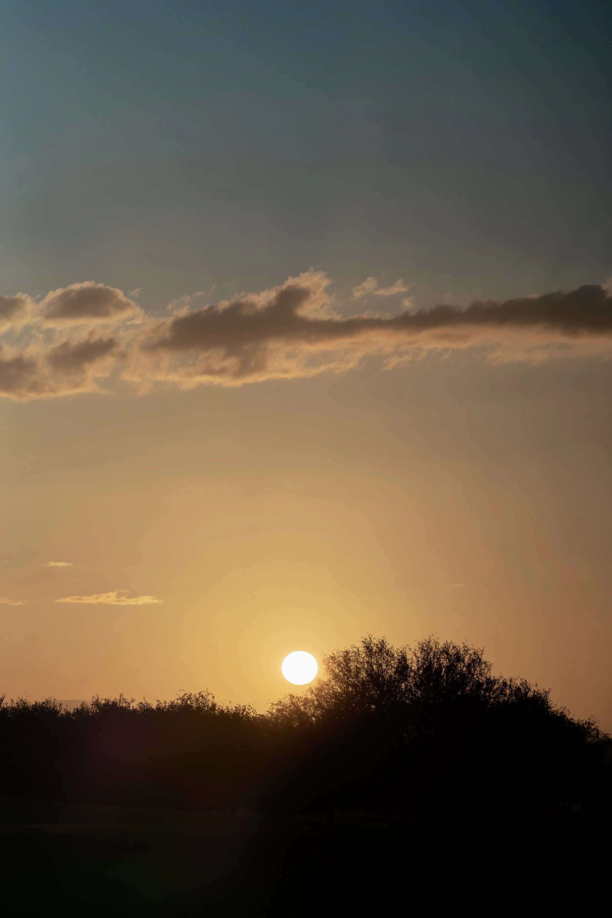 mcwphotocinema_Sarah&David_FullWedding-1060.jpg