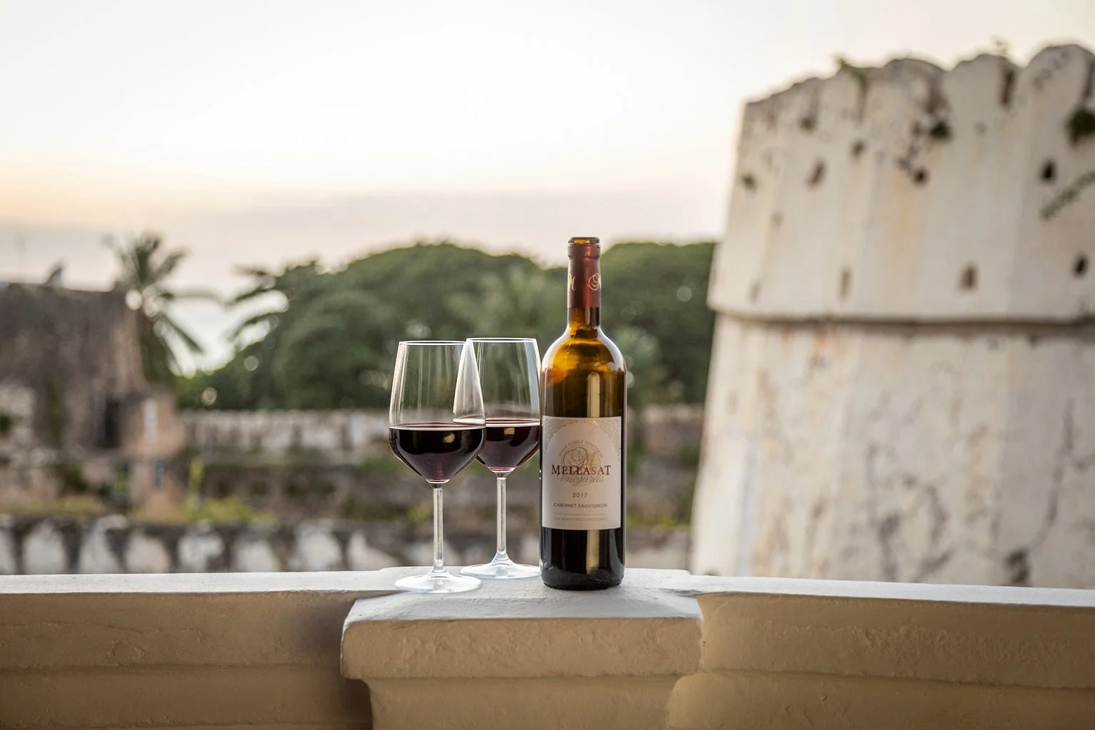 A bottle of red wine and two glasses of red wine on a balcony with a scenic view of trees and a historical building in the background