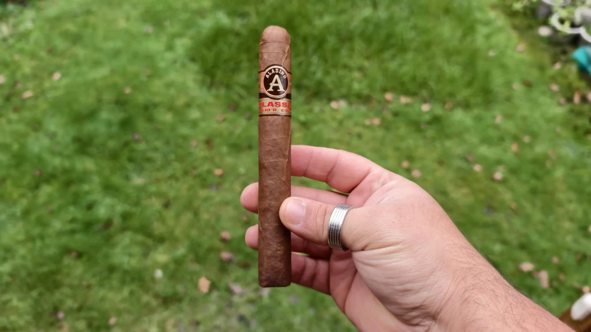 Aladino Classic Toro
